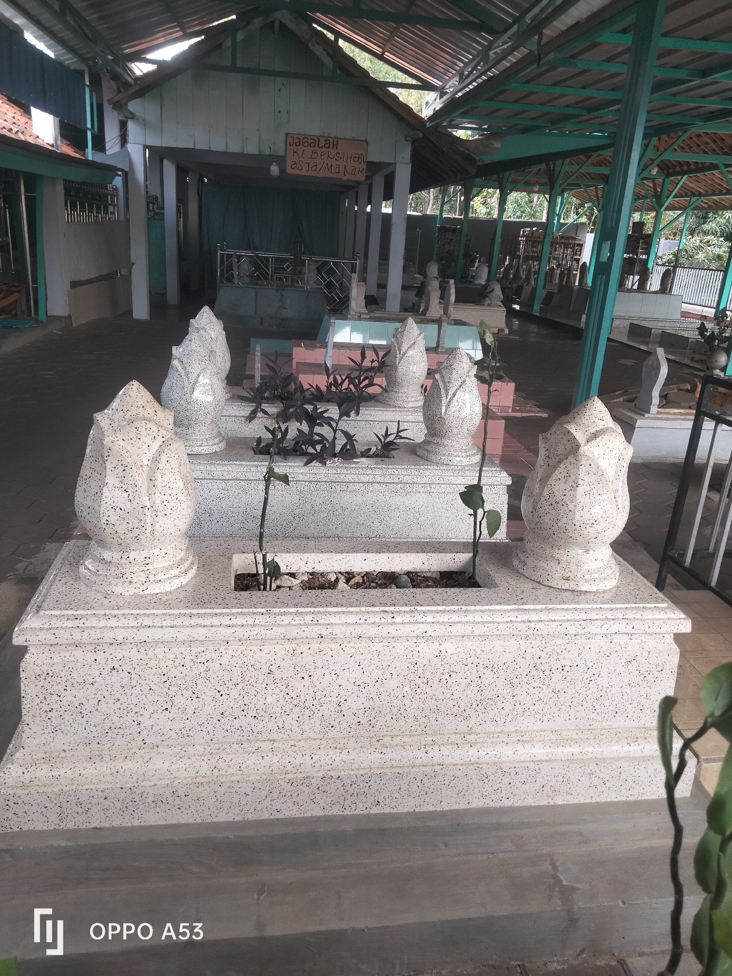 The image depicts a well-maintained tomb in a cemetery, likely in Badung, Indonesia, given the provided context. The central focus is a large, rectangular tomb made of speckled white granite, decorated with four lotus-shaped finials. Two of these finials are visible in the foreground on the left and right sides of the tomb. A small, thin green plant with a few leaves grows from a rectangular opening in the top surface of the tomb. Behind this, a second, slightly smaller tomb of similar construction is visible, also featuring two lotus-shaped finials.
In the background, a covered structure with a green metal frame and a brown tiled roof provides shelter. Within this structure, several other tombstones and mausoleums can be seen, some with intricate designs and railings. A sign with Indonesian text, "JAGA LAH KEBERSIHAN DI AREA MAKAM" which translates to "KEEP THE AREA CLEAN," is affixed to the wooden wall of the sheltered area, indicating a community or management rule for the cemetery. The ground surface appears to be paved with a dark, possibly concrete material. The overall environment suggests a solemn and respectfully kept burial site, with trees visible in the distance through the open sides of the covered structure. The OPPO A53 watermark is present in the bottom left corner of the image.