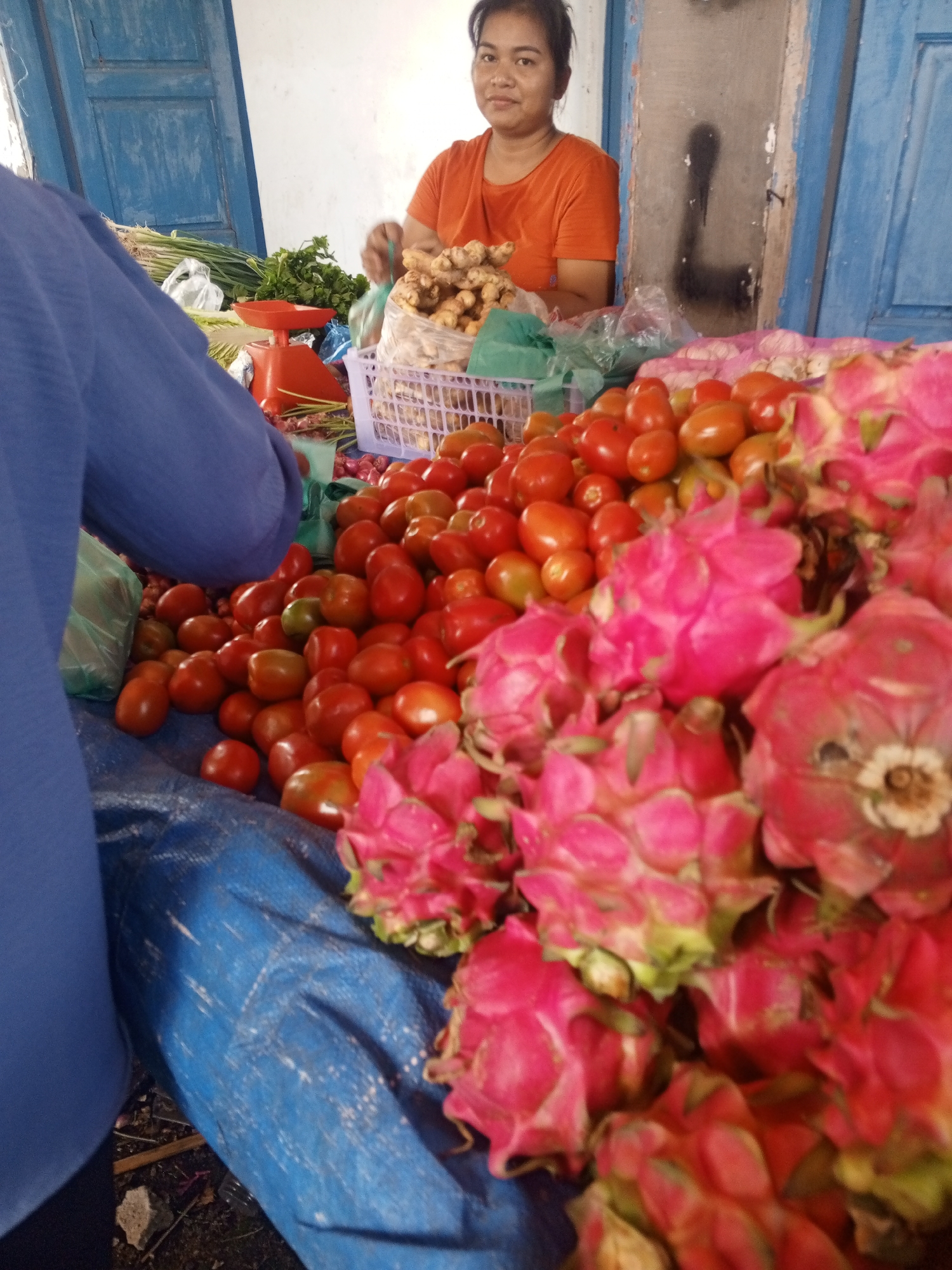 A woman in an orange t-shirt stands behind a stall laden with produce at a market in Talun Kenas, Indonesia. In the foreground, a pile of red tomatoes and pink dragon fruits are displayed. Behind the tomatoes, a person wearing a blue shirt is visible, partially obscuring the view of the stall. The stall itself is covered with a blue tarp. Various vegetables and spices, including what appears to be ginger and onions, are arranged on the stall. A small red weighing scale is also present. The background features a blue wooden door and a white wall. The overall scene depicts a vibrant outdoor market setting.