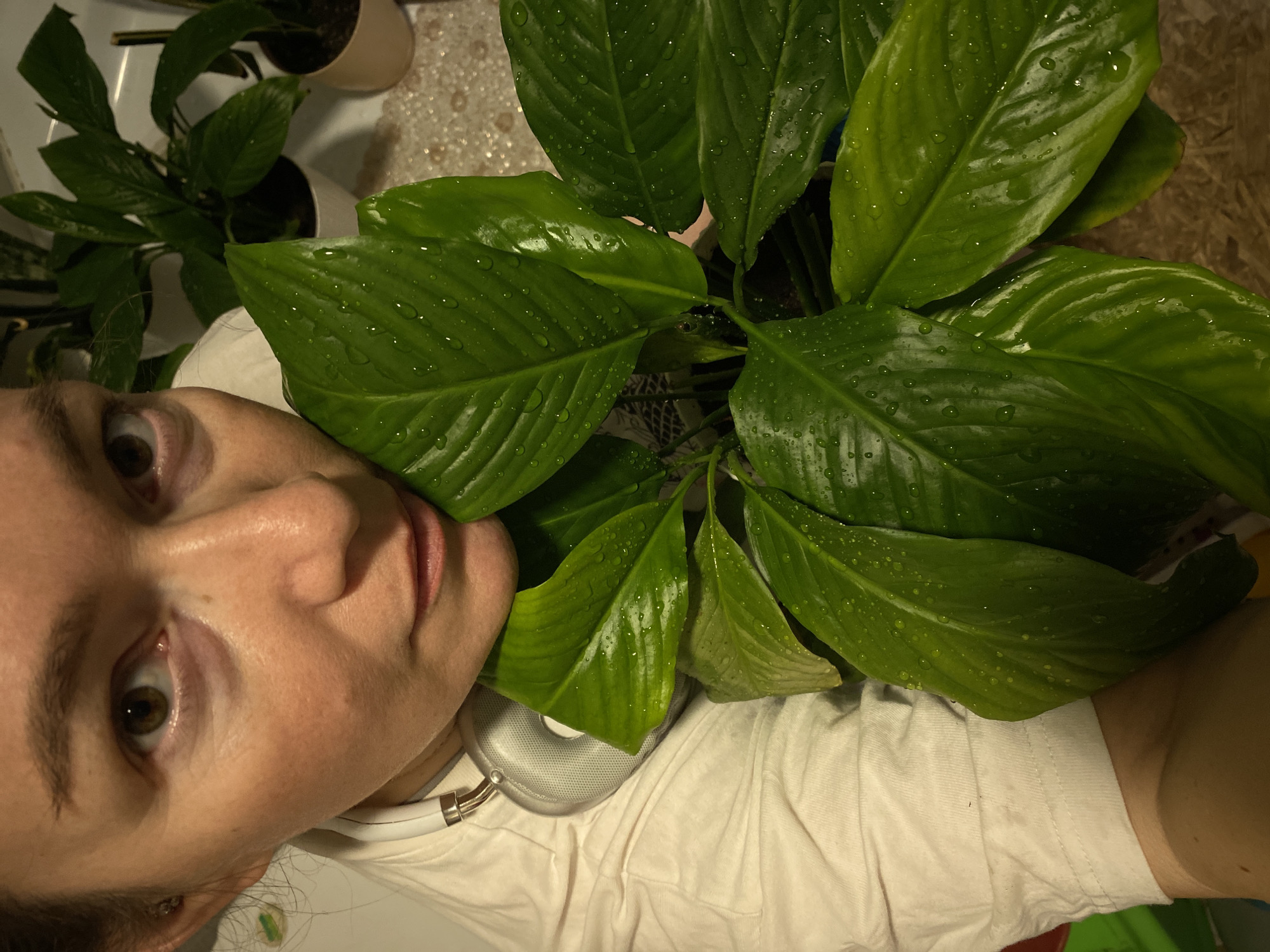 A close-up, high-angle photograph shows a person with fair skin and light brown hair. A portion of their face, including the left eye, cheek, nose, and mouth, is visible. They are wearing a light-colored t-shirt. Around their neck, partially obscured by the leaves of a plant, are white headphones. A potted plant with large, green, glossy leaves covered in water droplets is prominently positioned in front of the person. Additional potted plants can be seen in the background to the left, with one in a white pot and another in a beige pot. Clear glass beads are also present in the background. The location in the city of Ольховка, Russia is not determined from the image.
