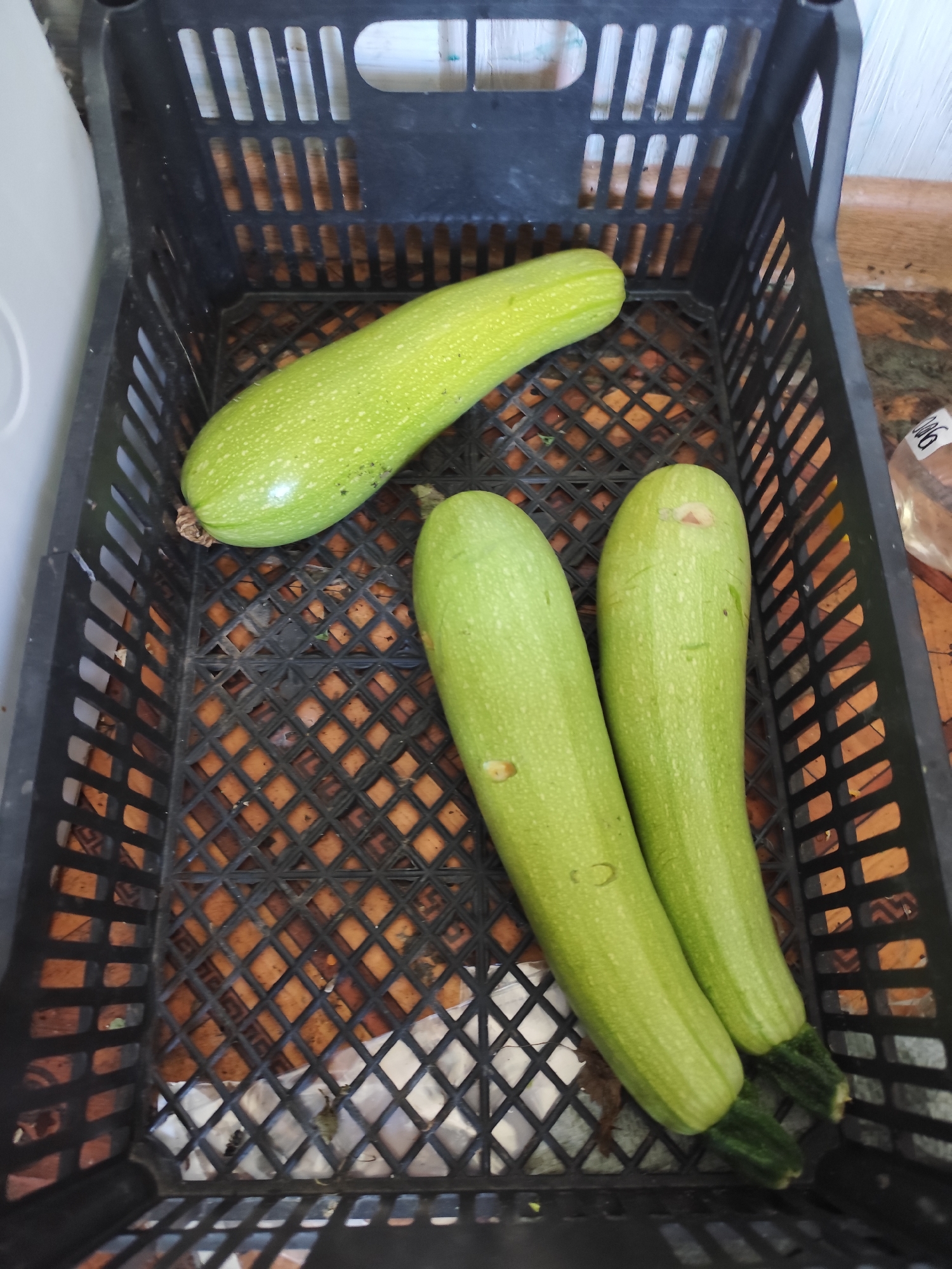 A black plastic crate containing three light green zucchini is positioned on a surface that appears to be a countertop or table. One zucchini lies horizontally across the top of the crate, while the other two are placed vertically side-by-side in the lower portion of the crate. The crate itself is made of black plastic with a grid-like pattern and appears to be outdoors or in a rustic setting given the presence of what looks like dried leaves or debris within the crate. The background suggests an indoor environment with hints of white and brown surfaces. The image was taken from a top-down perspective. The location is specified as Атамекен ауылдық округі, Kazakhstan.