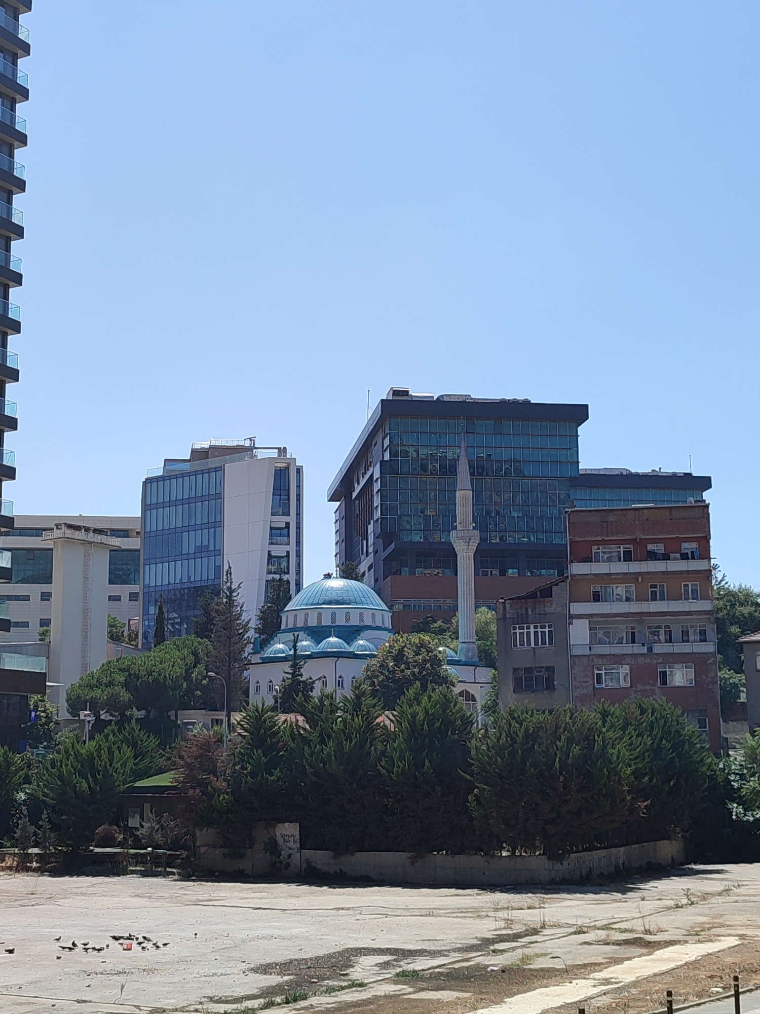 A clear, sunny day with a bright blue sky forms the backdrop for a cityscape. In the foreground, a dry, cracked concrete lot is sparsely populated with pigeons. A few scattered bits of debris and patches of dry grass are visible. Beyond the lot, a dense line of evergreen trees forms a visual barrier.
Behind the trees, the architecture of Kadıköy, Turkey, emerges. A light blue-domed mosque, adorned with white decorative elements, stands prominently. Adjacent to it is a slender minaret. Behind these religious structures, modern buildings rise. One is a tall, glass-fronted structure with multiple floors and balconies. To its right, a darker glass building with a flat roof dominates the skyline. Further to the right, an older, multi-story brick building with numerous windows and balconies shows signs of wear. On the far left, a section of a very tall, modern residential building with numerous balconies is visible. The overall impression is a blend of historical and contemporary architecture set against a natural green backdrop.