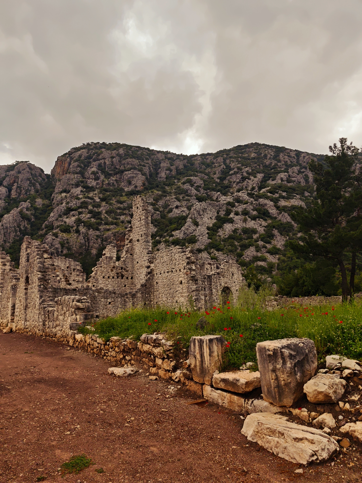 This image captures an expansive view of ancient ruins set against a dramatic mountainous backdrop under an overcast sky, in Kumluca, Turkey.
The foreground features a reddish-brown dirt path extending from the lower left, curving towards the right. Along the right side of the path, large, weathered stone blocks and fragments of ancient structures are scattered, some forming low retaining walls.
In the midground, the significant ruins of a stone building or wall dominate the left and central parts of the frame. These structures are constructed from light-colored, irregular stone blocks, with parts of the walls standing tall and others having collapsed, revealing intricate stonework and openings. Adjacent to these ruins, a verdant patch of grass is vibrant with numerous small, bright red poppies, adding a striking burst of color to the scene. To the right, several tall, dark green evergreen trees grow, their branches reaching towards the sky.
The background is dominated by a massive, rugged mountain range. Its steep slopes are characterized by exposed grey rock formations and patches of dark green vegetation, indicating sparse tree and shrub growth. The mountain peaks rise high, meeting a wide expanse of cloudy, light grey sky that fills the upper portion of the image.
The weather appears overcast, casting a soft, diffused light over the landscape. The scene evokes a sense of ancient history, where man-made structures are slowly being reclaimed by nature. There is no visible human activity or text. The overall mood is tranquil and contemplative, highlighting the enduring presence of both historical ruins and natural beauty.