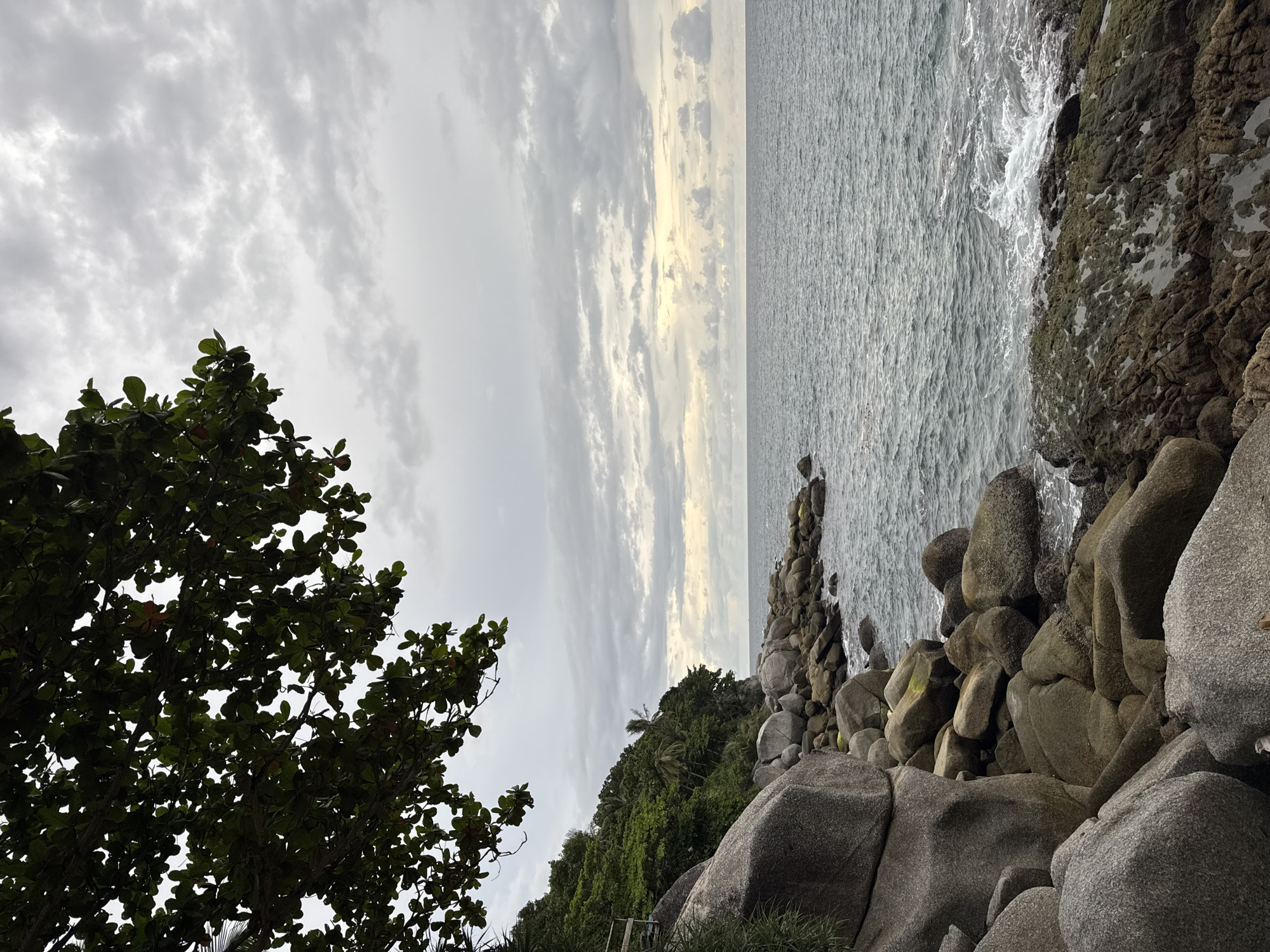 This media file captures a scenic view of a rocky coastline with lush green vegetation. The ocean is visible on the right, with waves gently lapping against the shore. Large, grey rocks are scattered across the foreground and midground, some covered in moss. A dense cluster of green trees with large leaves occupies the left side of the frame, with a few palm trees visible further down the coast, suggesting a tropical location. The sky is overcast with a mix of grey clouds and patches of sunlight, indicating it might be late afternoon or early morning. The overall mood is serene and natural, highlighting the beauty of the coastal landscape. There is no visible text or activity taking place. The location context suggests Karon, Thailand.
