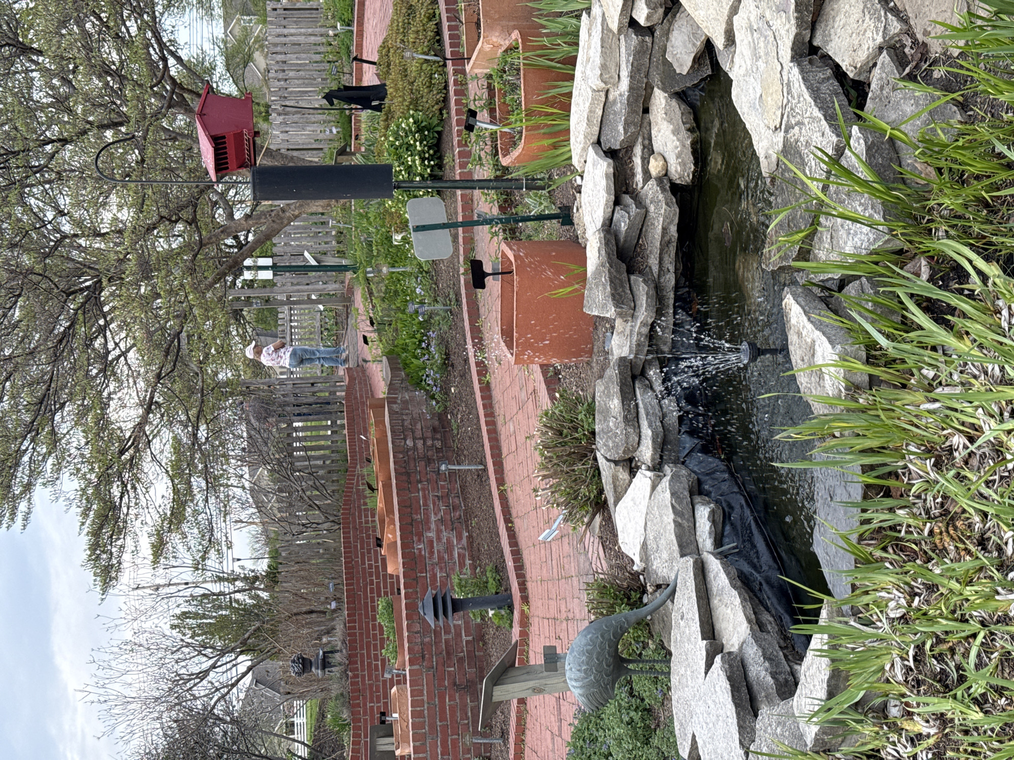 The image depicts a garden scene in Grove City, USA, oriented vertically. In the foreground, a stone-lined water feature with a small fountain spouting water. To the right of the water feature is a patch of green grass. A bronze crane statue stands near the water. A brick path extends into the distance, bordered by brick planters containing various plants. Along the path are black solar lights and signs. In the mid-ground, a person is standing on the path, wearing a white hat, floral shirt, and jeans. A red birdhouse is mounted on a black pole on the left. A wooden fence is visible in the background. Deciduous trees with budding leaves frame the scene. A residential area is faintly visible behind the fence, suggesting the garden is located within a neighborhood. The sky is overcast.