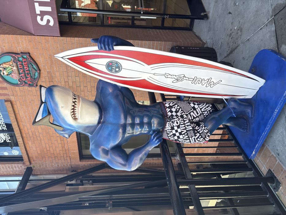 A blue, muscular, anthropomorphic shark statue stands on a blue platform on a gray sidewalk, located outside a brick building on Cannery Row, Monterey, California, United States of America. The statue's head is white with visible sharp teeth and black sunglasses resting atop. It wears black and white checkered board shorts and holds a white surfboard with red accents and "MAUI and Sons" branding in its left hand, displaying a thumbs-up gesture. The statue is positioned against a black metal railing. On the reddish-brown brick facade behind it, a round green "Candy Factory" sign is mounted. To the right, a glass storefront door is visible, partially obscured by a dark trash can, with signage above reading "STE".