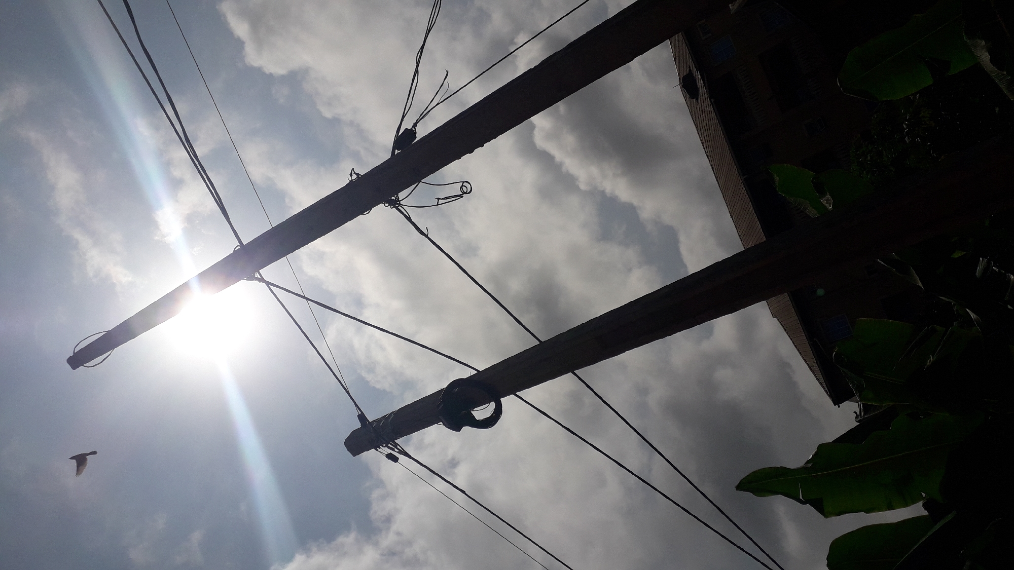 This is a low-angle, outdoor, daytime photograph taken in Nkpor, Nigeria. The image is dominated by two silhouetted wooden utility poles with numerous wires crisscrossing between them. The sun is bright and high in the sky, creating a lens flare effect and casting a bright glare. A single bird is visible in flight in the upper left quadrant of the image. In the background, a building with a brown tiled roof and multiple windows is partially visible, peeking out from behind the utility poles and dark green foliage in the foreground. The foliage consists of large, broad leaves, possibly from banana plants. The sky is partly cloudy, with a mix of bright and darker clouds. The overall impression is of a somewhat urban or semi-urban environment with active infrastructure and vegetation.