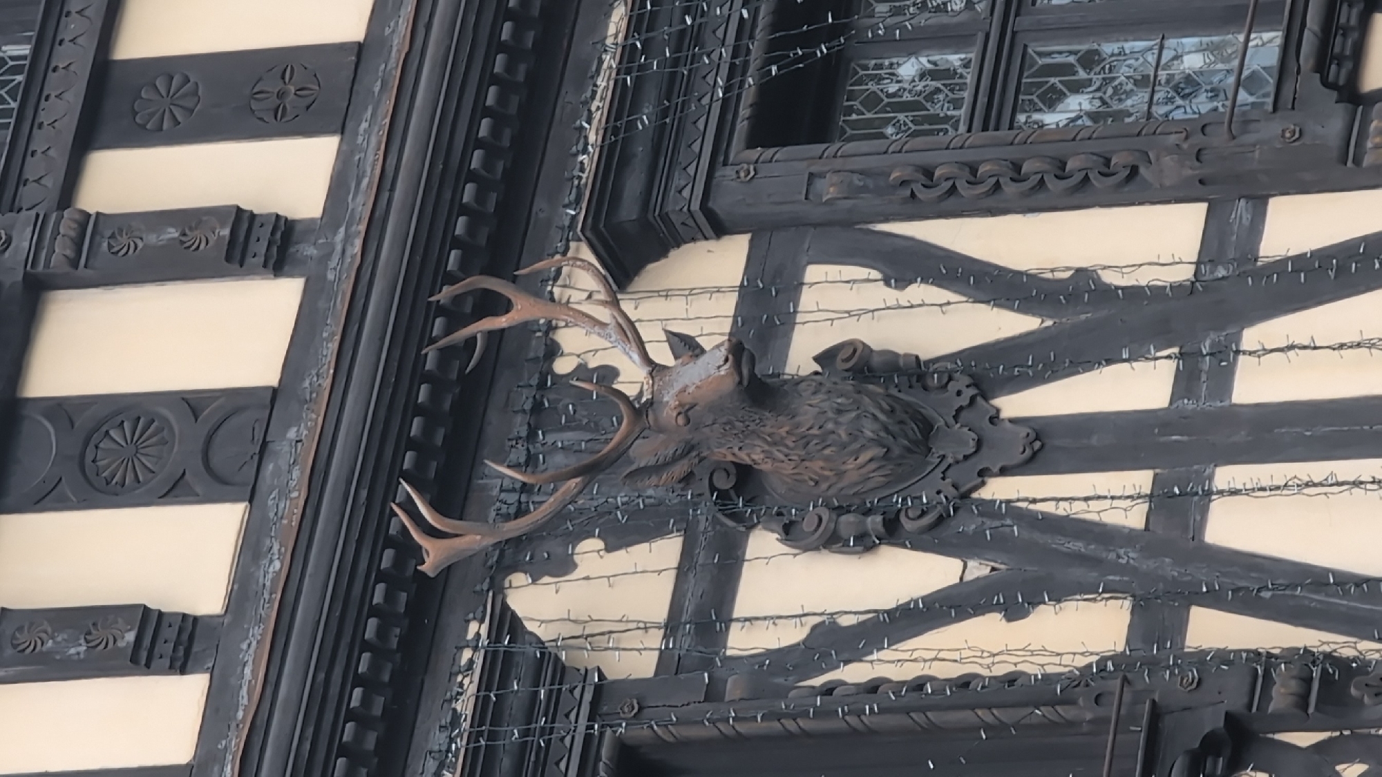 The image shows a close-up of the exterior of a building, likely a historic structure, with distinctive architectural features. The building's facade is characterized by dark timber framing against a lighter colored wall, typical of Tudor or half-timbered architecture.
Dominating the center of the image is a taxidermied stag's head mounted on a dark, ornate plaque. The stag has large antlers and its head is turned slightly to the right. It appears to be made of a dark, textured material, possibly bronze or weathered wood.
Strands of small, white fairy lights are draped vertically across the facade, particularly around the stag's head and along the timber beams. The lights are illuminated, suggesting it is either dusk or evening, or that the lighting is intended for decorative purposes.
The upper portion of the building visible in the image features decorative carvings on the dark timber beams, including circular floral motifs and spiral designs. A window with a patterned glass or leaded panes is visible on the right side of the image, framed by more decorative timberwork.
The overall impression is of an old, possibly stately building adorned for a festive occasion with the stag's head serving as a prominent focal point. Given the context of the city of Sinaia, Romania, this building could be a hotel, a historical residence, or a public building.
