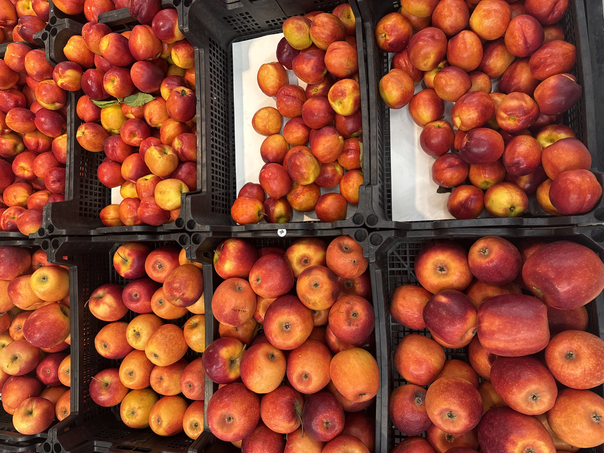 The image displays a close-up view of several black plastic crates filled with red and yellow apples. The crates are stacked and arranged in rows, suggesting a market or grocery store setting. The apples vary in size and ripeness, with some appearing brighter red and others a softer yellow or orange hue. Some crates are packed tightly, while others have fewer apples, allowing the crate's texture and structure to be more visible. The lighting is bright, illuminating the fruits and highlighting their texture and color variations. No people are visible in the image, and the focus is solely on the fruit display. The environment appears to be indoors, likely a commercial space dedicated to selling produce. There is no indication of the specific location within Baku, Azerbaijan.