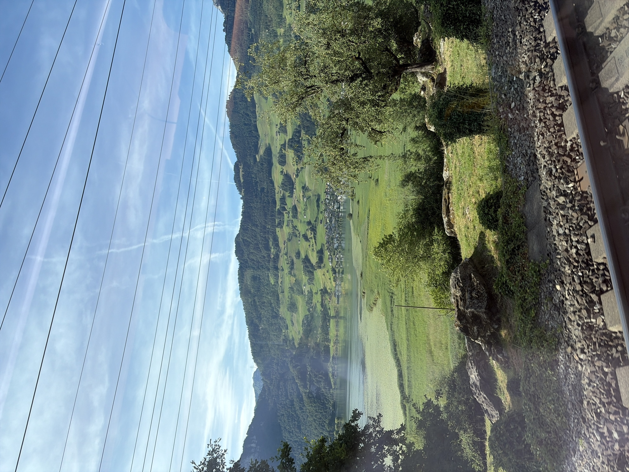 The image captures a scenic view from a train traveling through a rural landscape. In the foreground, train tracks run diagonally across the bottom of the frame, composed of dark ballast stones and concrete sleepers. Beyond the tracks, the ground is covered in short green grass with scattered rocks and bushes. A large, mature tree with lush green foliage stands prominently on the right side of the frame, its branches casting shadows. In the mid-ground, a body of water, likely a lake, is visible, bordered by a dense green reed bed. Further in the distance, rolling hills covered in dark green forests and dotted with small houses and fields form a picturesque backdrop. The sky is a bright blue with scattered white clouds, and several overhead power lines are visible. The overall impression is of a serene, natural environment with human infrastructure present.
The location is identified as Steinen, Switzerland, suggesting a view of the Swiss countryside, possibly along a railway line that passes by Lake Lauerz, given the topography and water body. No people are visible in the image. The scene is static and depicts a natural landscape with elements of human activity, such as the train tracks and scattered buildings on the hills.