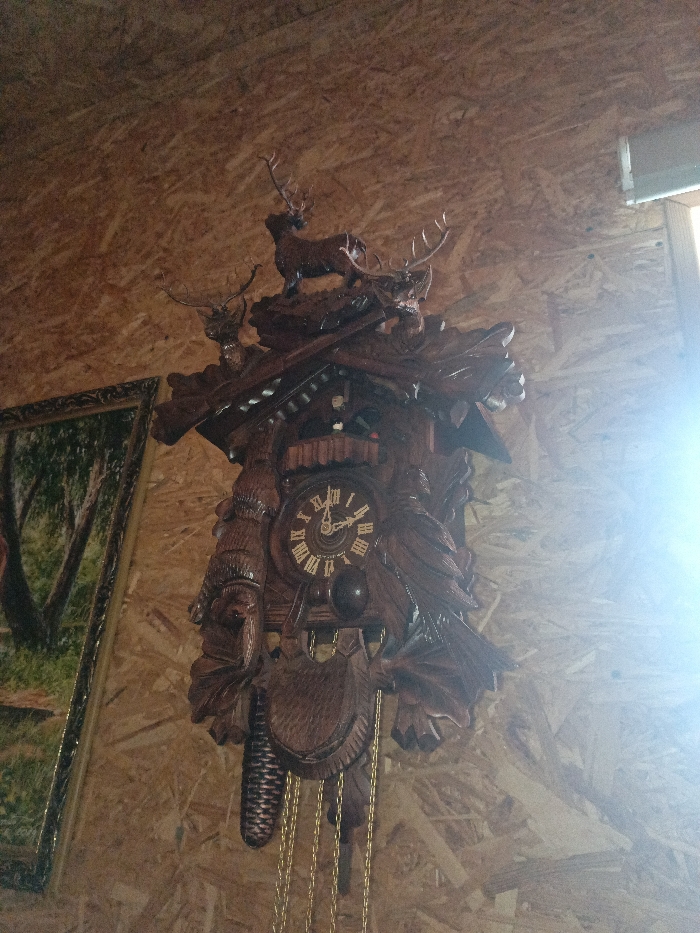 The image depicts an interior scene in Gorka, Russia, featuring a large, dark-stained, intricately carved wooden cuckoo clock mounted on an Oriented Strand Board (OSB) wall. The clock's design incorporates a hunting theme, with at least three antlered deer figures, the largest positioned at the apex, standing on a carved landscape. A small door above the clock face is open, revealing a cuckoo bird. The clock face, marked with Roman numerals, indicates approximately 11:55. Below the main clock body, two pinecone-shaped weights hang from golden chains. A partially visible framed picture, with a dark frame and depicting a forest scene, is situated to the left of the clock. The OSB wall exhibits a light brown color and characteristic wood flake texture. A strong light source from the right side of the frame creates a visible lens flare.