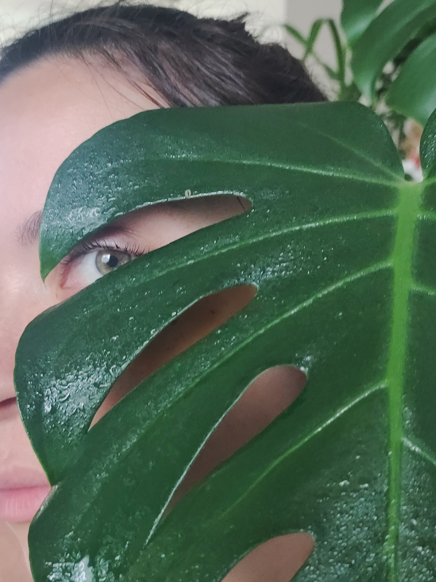 A person is partially obscured by a large green Monstera leaf. The person's face is partially visible, showing their eye, forehead, and the side of their face near the mouth. Their eye is looking directly at the camera. The Monstera leaf has water droplets on it. The background is blurred and appears to be a light color. The location is Unknown, Unknown.
