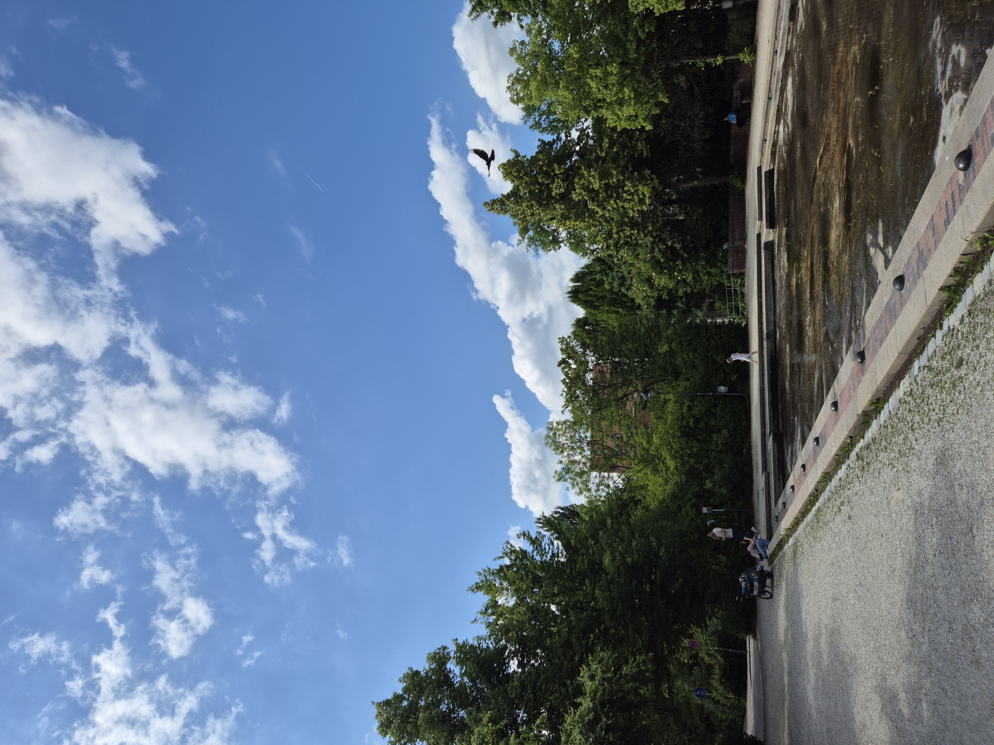 This image depicts a sunny daytime scene in the Bürgergarten, Landshut, Germany. The upper portion of the frame is dominated by a clear blue sky with scattered white cumulus clouds. A faint white contrail extends diagonally in the upper right quadrant, and a dark bird with outstretched wings is in flight against the sky in the upper right.
The mid-ground and background are densely populated with various green deciduous trees. Partially visible through the trees in the central background is a building with a reddish-brown tiled roof.
In the lower half of the image, a large, rectangular, shallow concrete basin occupies the central and right areas. The basin contains murky, dark water, suggesting it is either partially dry or filled with stagnant water; its patterned bottom is visible through the water. A concrete walkway with an integrated red-brick border defines the edge of this basin, along which several black, spherical bollards are evenly spaced.
To the left of the basin is a light-colored gravel path. On this path, in the mid-ground left, a baby stroller is parked. Two adults are nearby: one stands facing right, while another is seated on the ground to the right of the stroller, appearing to be observing something. Further left, through the trees, a blue circular bicycle sign and a red and white circular regulatory sign are visible.
Within the water basin, a child or small adult dressed in white clothing is walking barefoot. In the far background, to the right of the basin and partially obscured by trees, another individual is seated on a wooden bench.