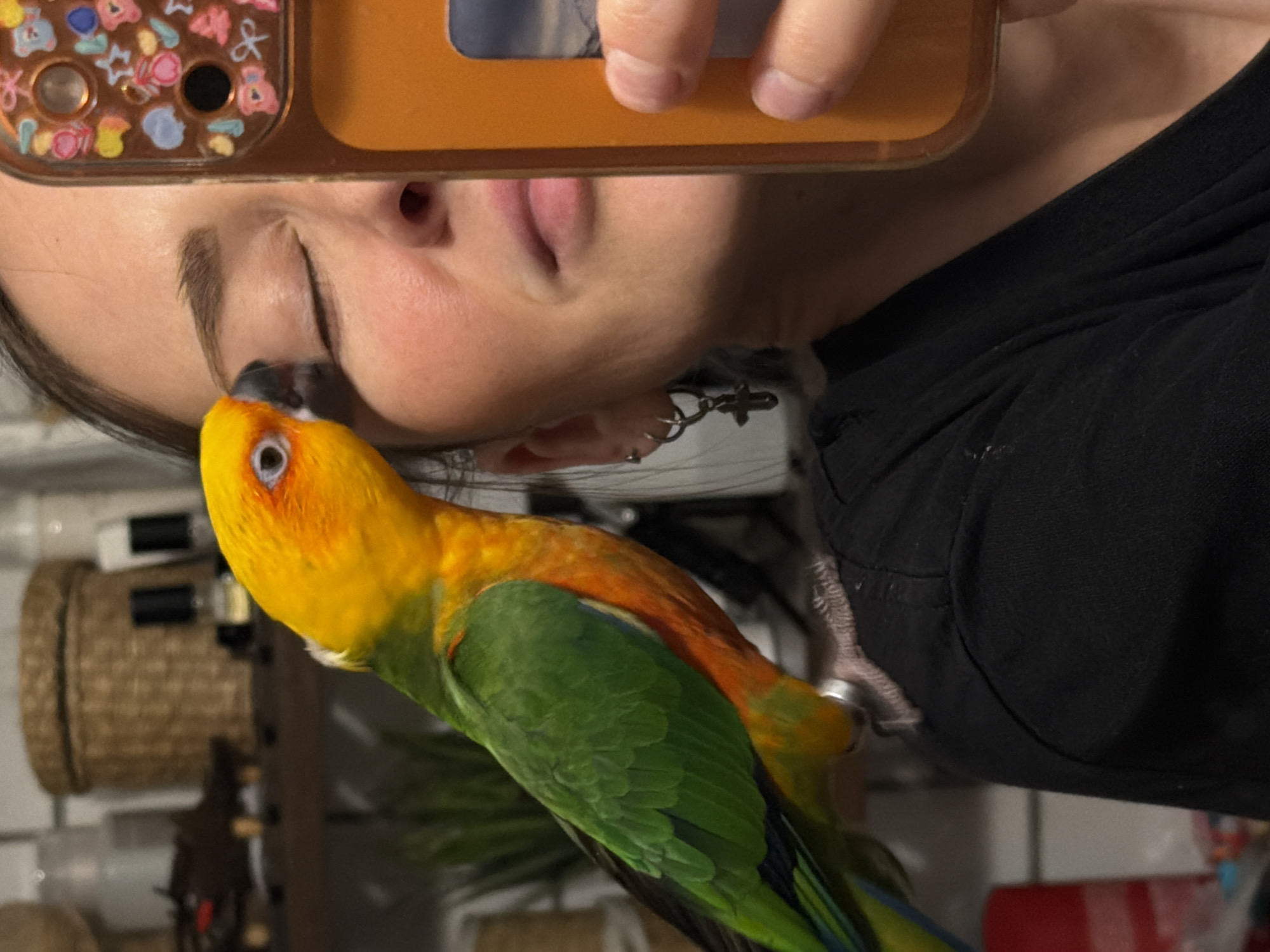 The scene takes place indoors in Khimki, Russia. The image is a close-up, depicting a parrot interacting with a partially visible individual. A Sun Conure parrot, characterized by its bright yellow head, orange chest, and green wings, is perched on the left shoulder of a person, likely female. The parrot's beak is touching the closed right eyelid of the individual. The individual's right eye is closed, with a portion of her nose, cheek, and lips visible on the right side of the frame. She has light brown hair and is wearing a black garment. Her left ear is visible, adorned with two earrings: a small hoop in the upper helix and a larger hoop with a cross charm dangling from the lobe. Her right hand holds an orange-colored smartphone vertically, partially obscuring her face. The phone case features various small, colorful, raised embellishments around the camera module. A portion of the phone's screen displays a landscape image, possibly mountains and sky. The background is blurred, showing a wooden shelf with a woven basket, several small bottles, and a green potted plant. A red cylindrical object is faintly visible in the lower-left background.