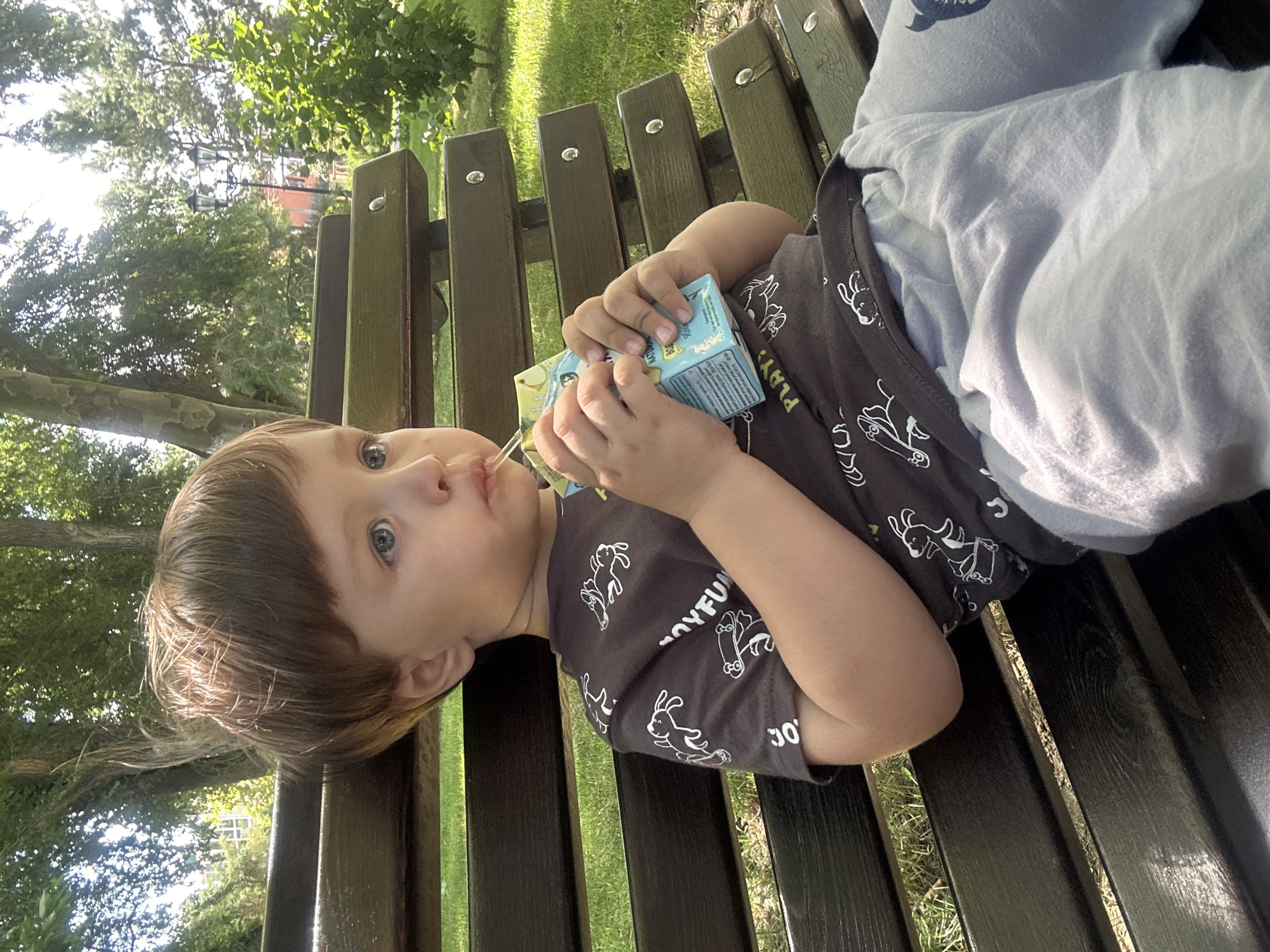 A young boy with light brown hair and blue eyes is sitting on a dark wooden park bench, drinking from a juice box. He is wearing a dark grey t-shirt with white cartoon dog graphics and light grey sweatpants. The bench is situated in a park with green grass and trees visible in the background. The sun is shining, casting dappled light through the leaves. The location is the city of Taman, Russia.