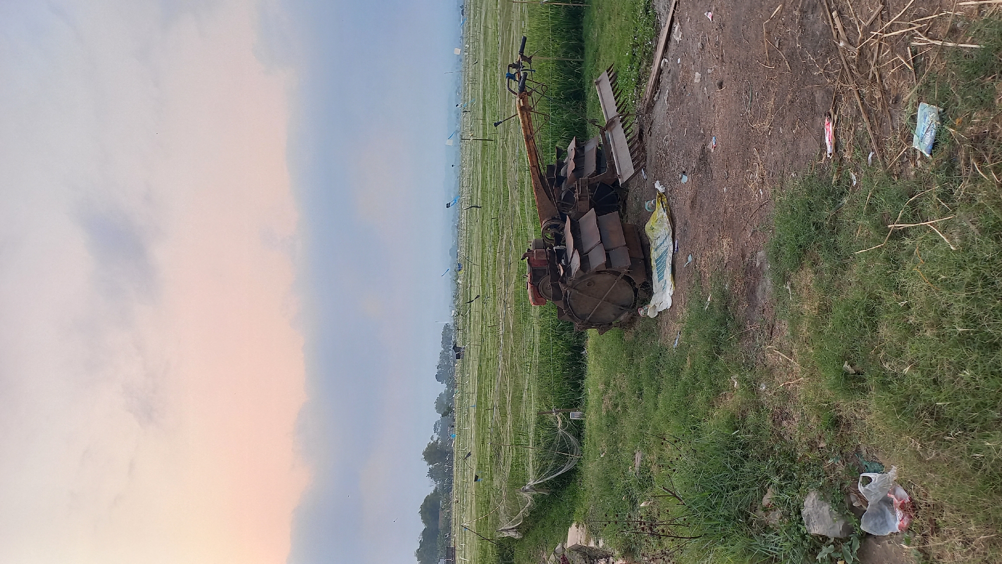 The image depicts a rural agricultural landscape at dusk in Tulungagung, Indonesia. In the foreground, a rusty, two-wheeled tractor sits idle on a dirt patch, surrounded by overgrown grass and scattered debris, including plastic bags and a yellow sack. A rake lies beside the tractor.
Beyond the foreground, a vast field stretches out, covered with green crops and protected by a network of netting supported by wooden stakes. In the distance, more fields are visible, interspersed with trees and small structures. The sky above is painted with soft hues of pink and pale blue, indicating the twilight hour. The overall impression is one of quiet, agricultural work winding down for the day.