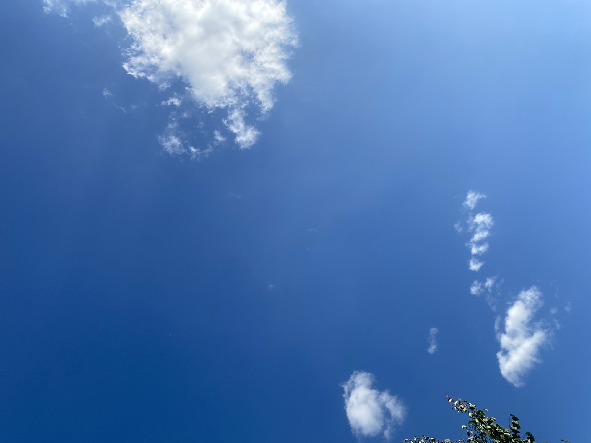 The image captures a bright blue sky with scattered white cumulus clouds. The left side of the frame shows the upper branches of a tree with green leaves. The scene appears to be an outdoor environment in the rural settlement of Baikonur village district, Kazakhstan, suggesting a clear day with good visibility. There are no people or specific actions depicted in the image.