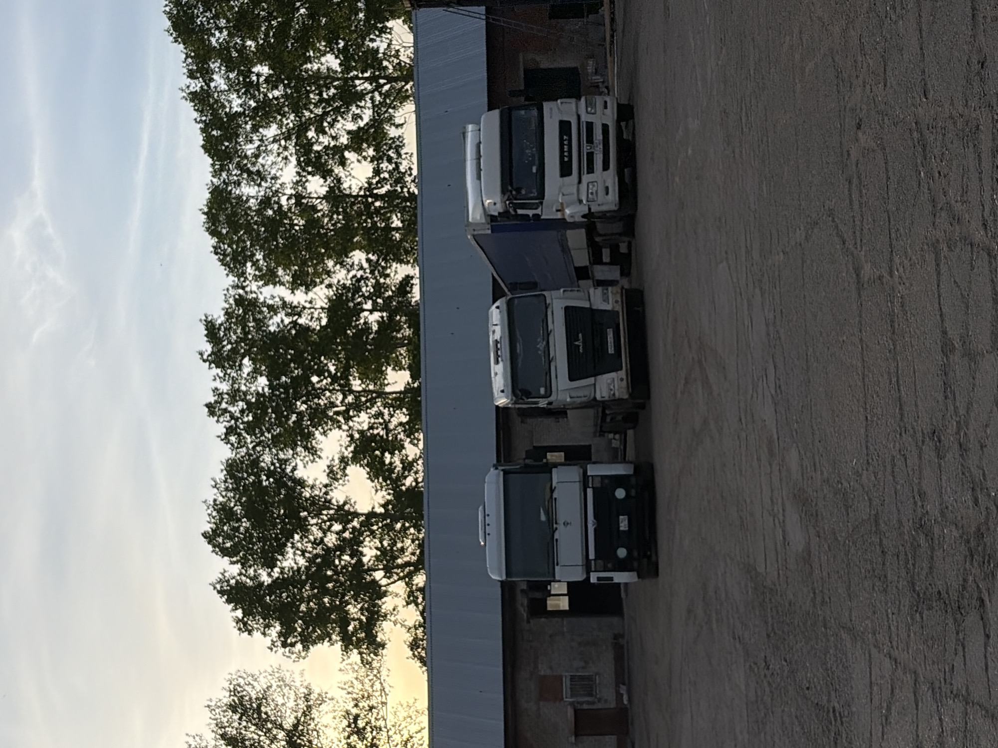 The image shows a parking lot in Chaikovsky, Russia. There are three trucks parked next to each other. The first truck is a KAMAZ truck. A large tree is behind the building. The sky is cloudy. The ground is grey.