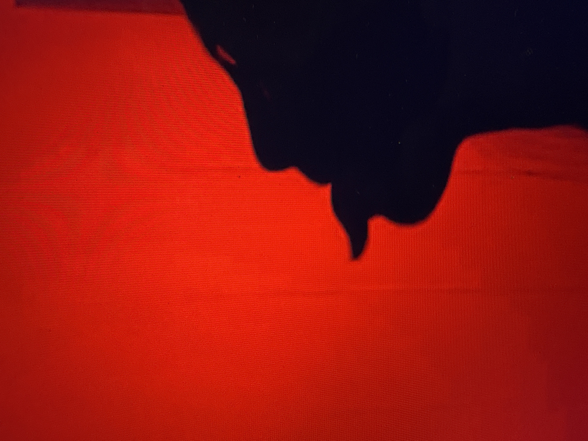 A silhouette of a human face is visible against a vibrant red background. The face is depicted in profile, with the lips slightly parted. The shadow is dark and sharp, suggesting a strong light source. The red background appears textured, with faint vertical lines. The scene is abstract and lacks specific environmental or geographical context, making it impossible to determine a location within a city. There are no identifiable objects or interactions, only the striking contrast between the black silhouette and the red backdrop.