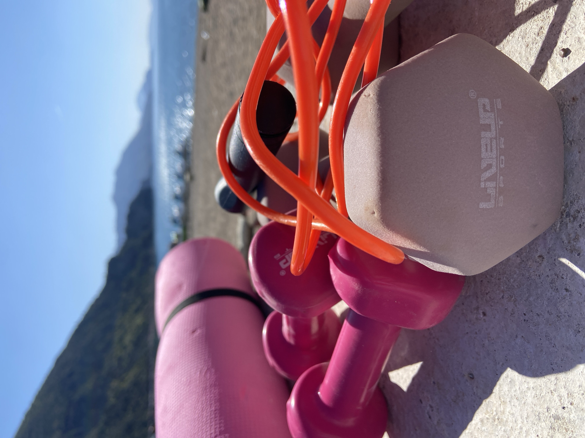 The image shows a collection of fitness equipment arranged on a concrete surface. The equipment includes a rolled-up pink yoga mat secured with a black band, a pair of pink dumbbells, a set of orange resistance bands with black handles, and a gray dumbbell. In the background, a blurred landscape is visible, featuring a mountain, water, and sky. This scene is near Prijevor, Montenegro.