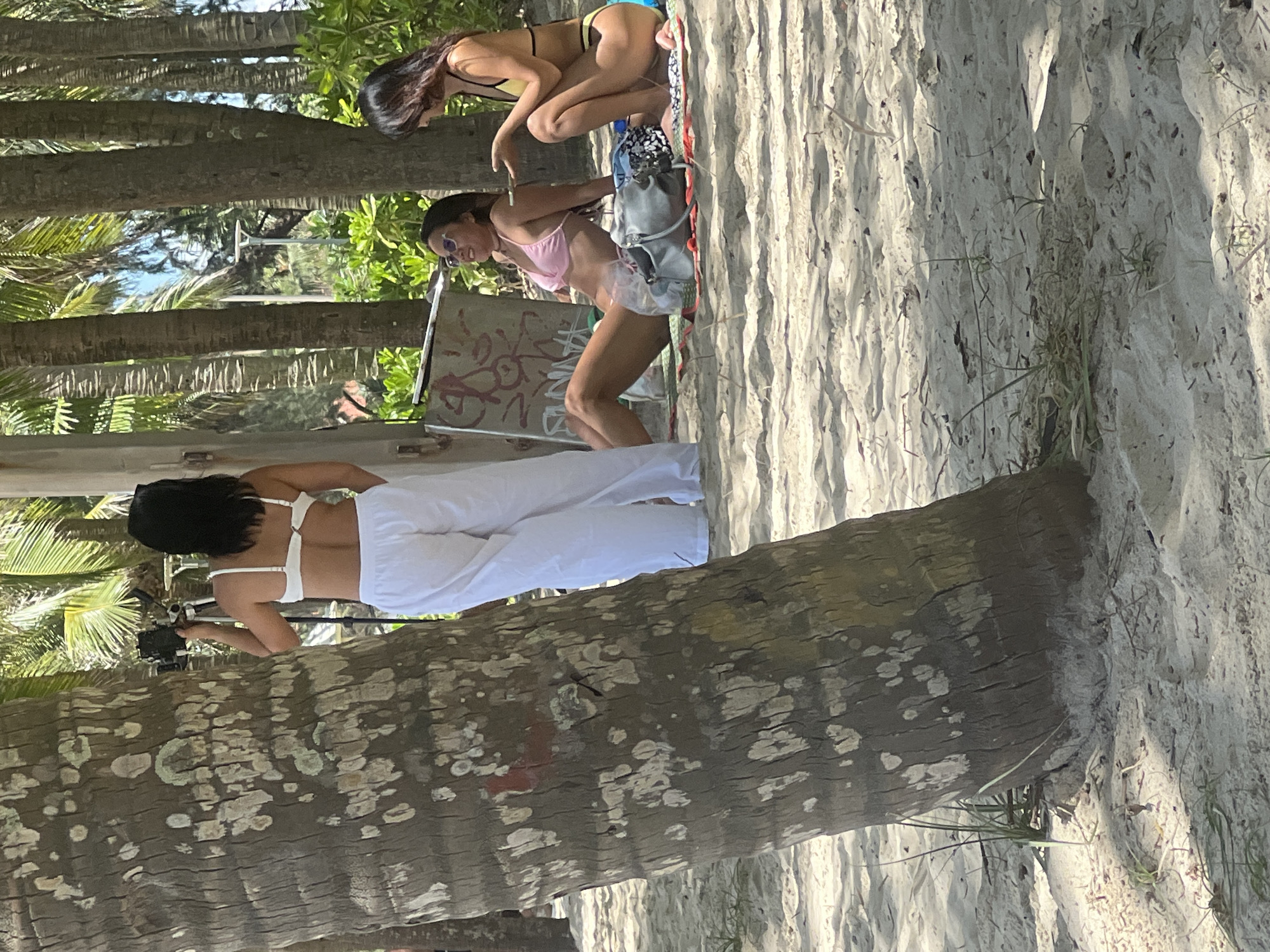 The image depicts a beach scene, likely in Đà Nẵng, Vietnam, featuring three individuals. In the foreground, a large palm tree trunk dominates the left side of the frame. Behind it, a woman stands dressed in a white bikini top and loose white pants, holding a camera on a tripod. To her right, two other women are seated on the sand on blankets. One woman, wearing a pink bikini, is leaning back with sunglasses and a necklace. The other woman, in a yellow bikini, is seated next to her, holding a phone. The background is filled with more palm trees and lush green vegetation, with a glimpse of a blue sky. The ground is covered in light-colored sand.