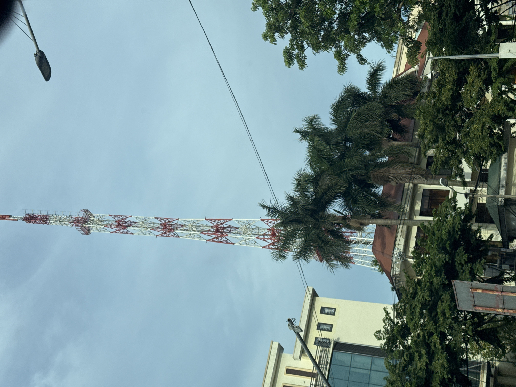 The image depicts a street scene in Hoa Lư Ward, Vietnam, dominated by a tall, red and white lattice telecommunications tower. The tower rises high into a pale blue, cloudy sky. In the foreground and mid-ground, lush green trees, including palm trees, obscure parts of buildings. To the left, a modern building with a glass facade and beige upper floors is visible, with a street lamp attached to a pole extending towards it. To the right and behind the trees, other buildings with red roofs and beige walls are partially visible. Electrical wires traverse the sky above the scene. A street lamp is also visible in the upper right portion of the image, suggesting an urban environment.