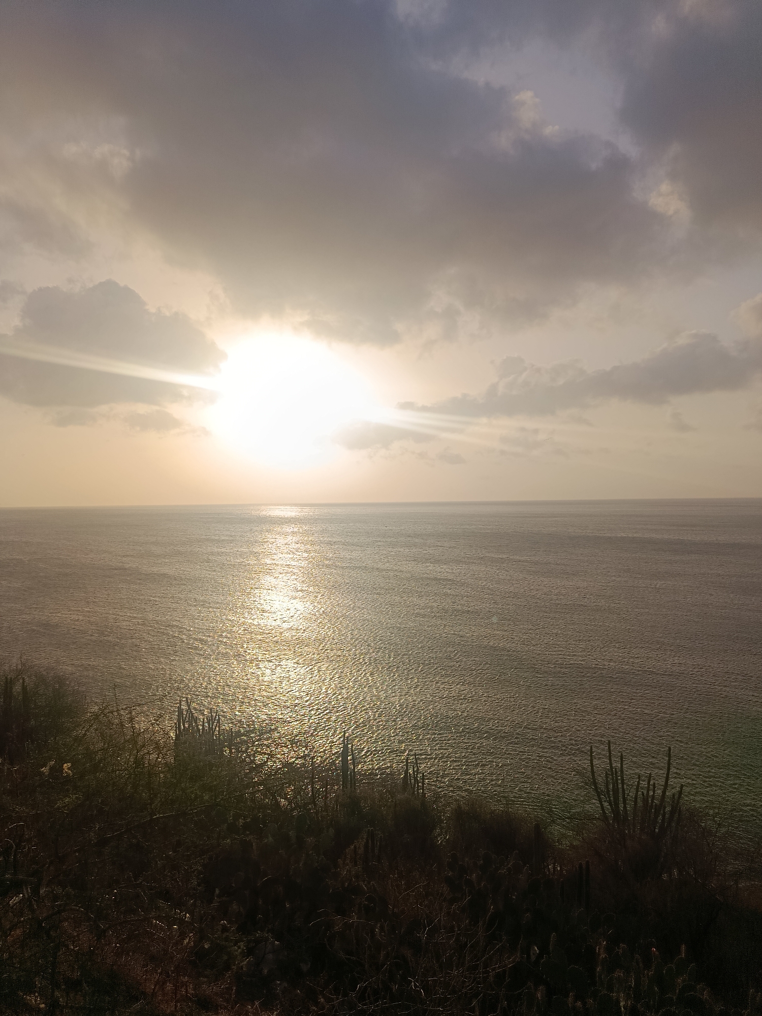 This photograph shows a view of the ocean from an elevated location in Juan Griego, Venezuela. The sun, veiled by clouds, casts a bright, shimmering path across the water's surface. In the foreground, dark vegetation, including cactus plants, grows on the slope. The sky above is filled with a mix of light and dark clouds, creating a dramatic atmosphere. The overall scene depicts a coastal landscape under the diffuse light of the sun.