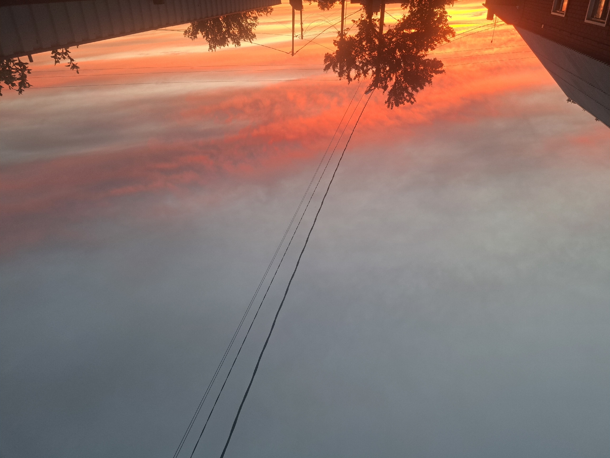 The scene depicts an outdoor environment at either sunrise or sunset in Leningradskaya, Russia. The sky occupies the upper two-thirds of the frame, displaying a gradient from a muted grey-blue at the zenith to vibrant orange, red, and yellow tones towards the horizon. Streaks of elongated cloud formations are visible within the brightly colored portion of the sky. Multiple dark electrical or communication lines traverse the upper and middle sections of the image; three prominent lines extend diagonally from the upper left towards the lower right, while others cross horizontally. The lower third of the image features dark silhouettes of ground-level elements. On the left, a building with a steep, corrugated metal roof and a visible side wall with two windows is present. In the central area, several deciduous trees with dense foliage are silhouetted, along with multiple utility poles. To the right, a long, horizontally oriented structure with a ridged surface, possibly a fence or building, is visible, partially obscuring additional silhouetted trees. The strong backlighting renders all foreground objects as dark forms against the illuminated sky. No individuals or specific activities are identifiable.