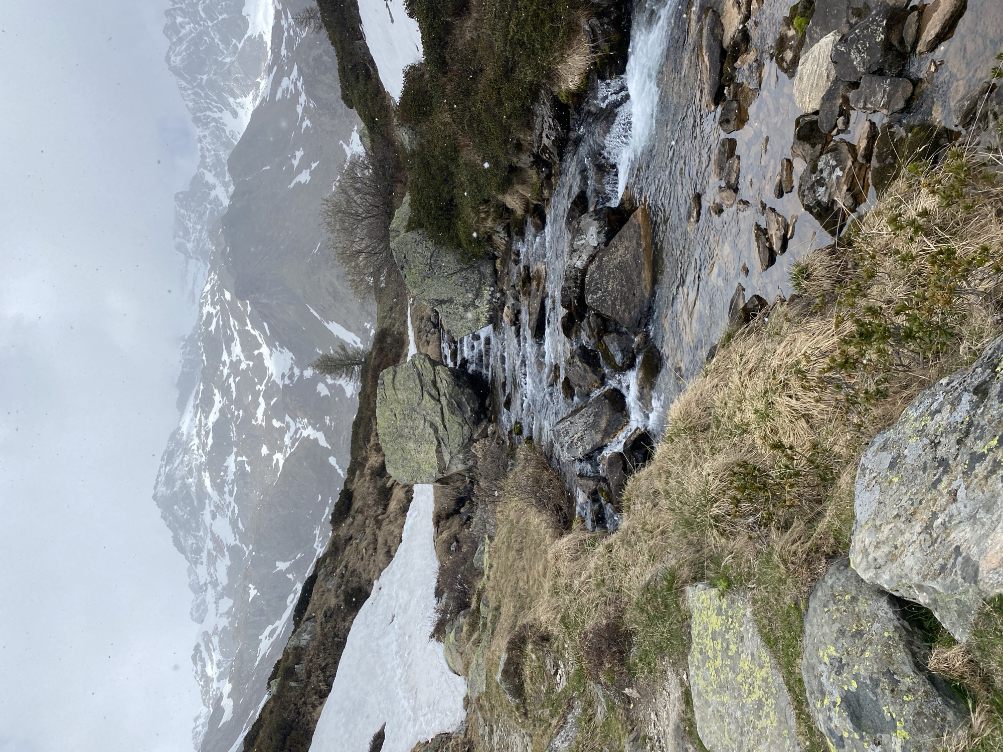 The image depicts a mountain stream flowing through a rocky landscape, likely in the mountainous region of Baceno, Italy. Snow patches are present along the edges of the stream and on the adjacent slopes, indicating a cold climate or a high altitude. The mountains in the background are partially obscured by fog or snow, adding to the sense of elevation and remoteness. The vegetation primarily consists of alpine grasses and shrubs. The stream itself is clear and flows rapidly over the rocks, suggesting a steep gradient.
