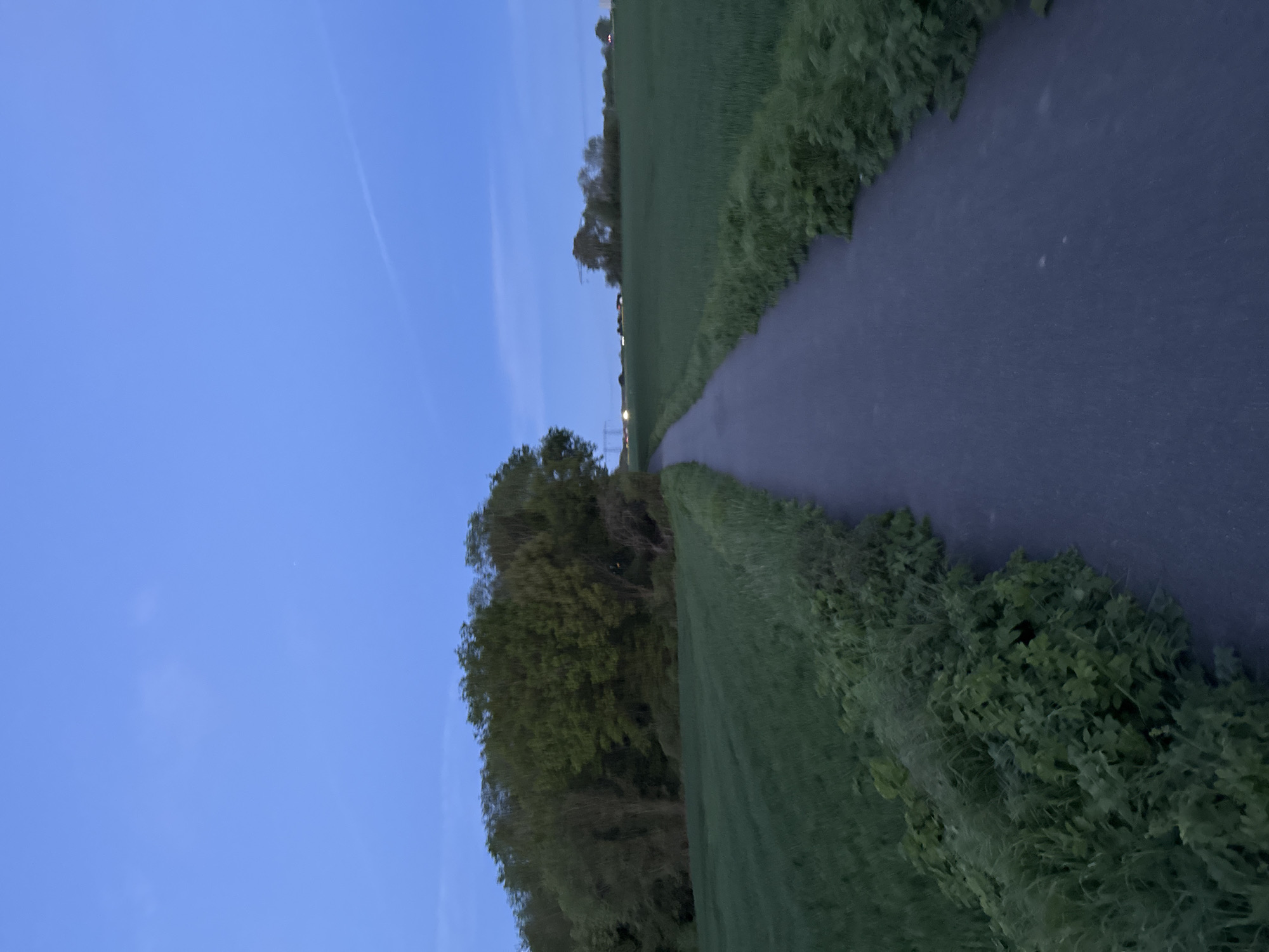 The image, taken in Gometz-le-Châtel, France, presents a serene twilight landscape. A dark, possibly damp, asphalt path or narrow road extends into the distance, flanked by vibrant green fields. The path appears to subtly curve as it recedes from view.
On the left side of the path, a dense line of trees and bushes stands with dark foliage silhouetted against the fading light. On the right, the field is bordered by lower, lush green vegetation and shrubs running alongside the path.
The sky overhead is a clear, deep blue, characteristic of dusk or dawn. A very faint, wispy streak, possibly a contrail, is barely visible in the upper left section of the sky. In the far distance, along the path's trajectory, several small, bright points of light suggest artificial illumination from streetlights or distant structures. No people or specific buildings are visible. The scene conveys a sense of peaceful tranquility in a rural or semi-rural setting as day transitions to night. No visible text is present in the media file.