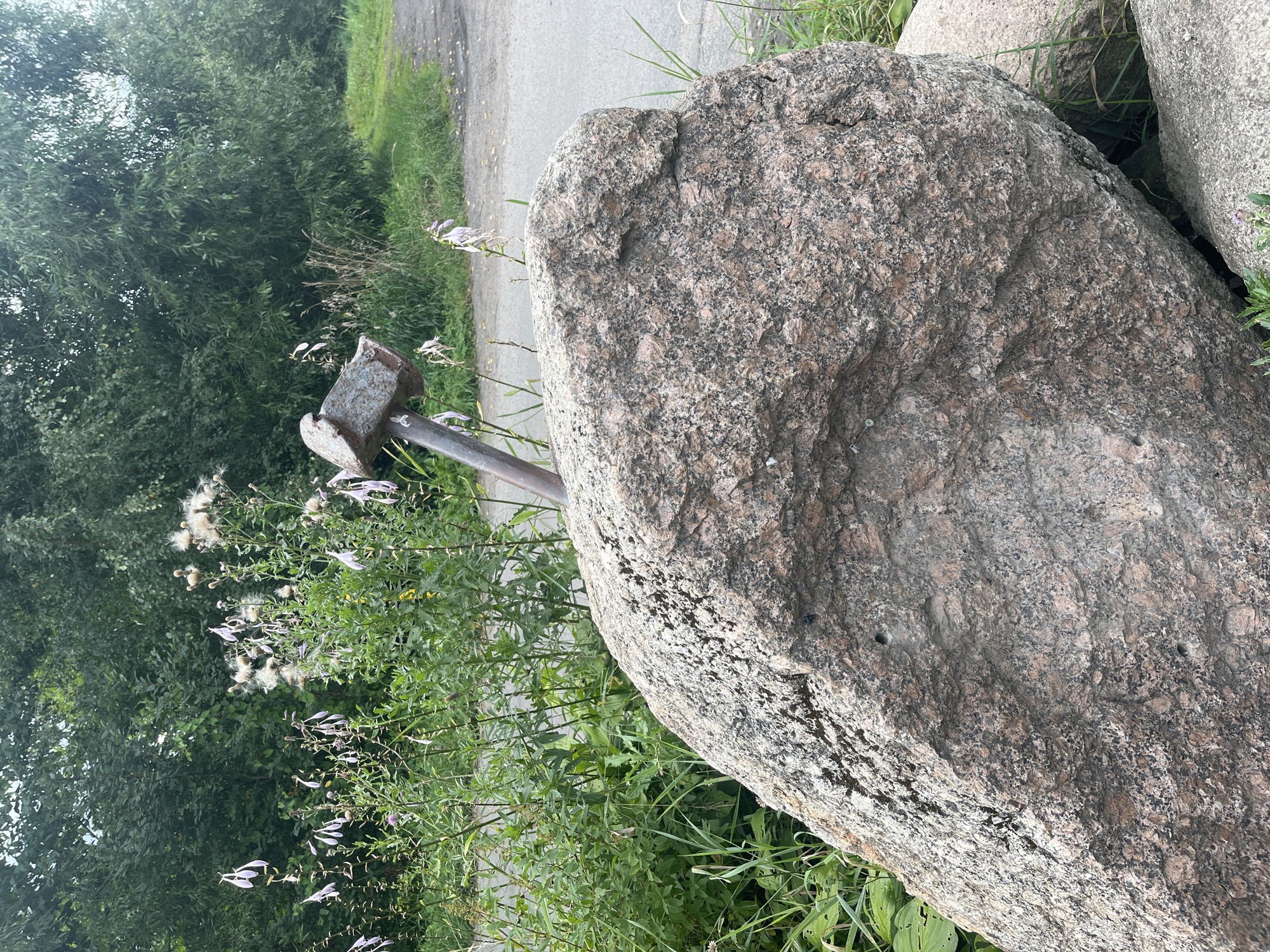 A large, rough, pinkish-gray granite boulder dominates the foreground of the image, tilted slightly to the right. Embedded in the top of the boulder, angled upwards and to the left, is a metal rod with a small, weathered metal head, resembling a hammerhead, at its apex. The boulder has several small holes or indentations on its surface. Behind the boulder, a variety of green foliage and plants with delicate, pale purple flowers are visible. In the background, a paved surface, possibly a road or pathway, is visible, bordered by grass and dense green trees. The lighting suggests an overcast day. The scene is outdoors in a natural setting, potentially a park or roadside in Vladimirovka, Russia.
