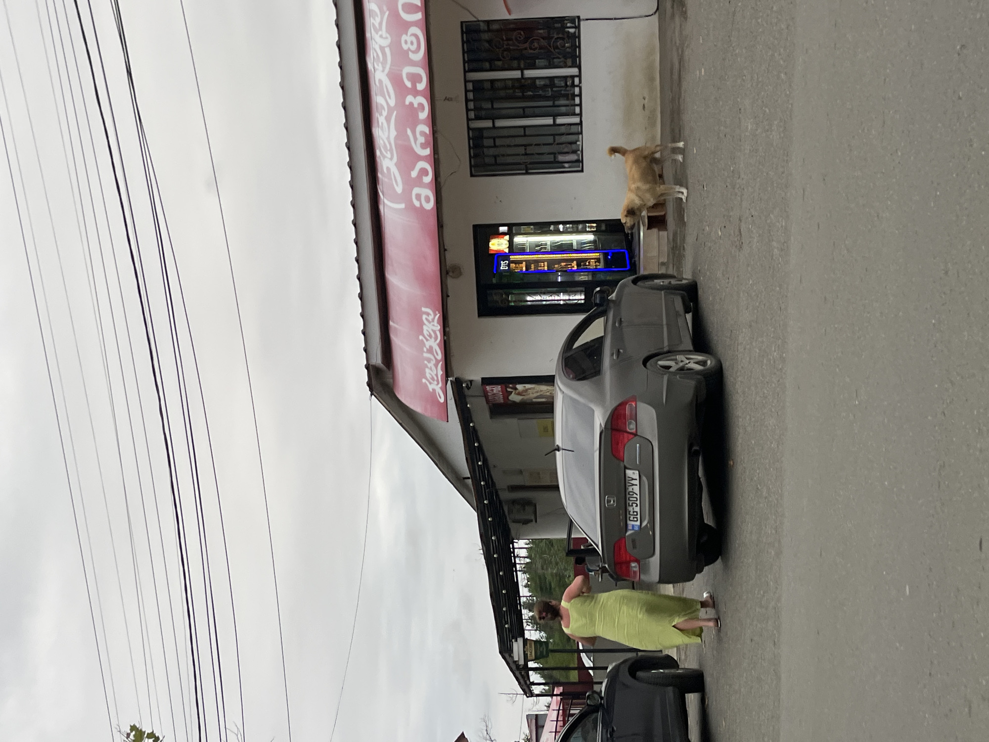 The image shows a street scene in Ureki, Georgia, with a small commercial building and several vehicles. A woman in a lime green dress is walking away from the viewer towards the building, her back to the camera. A gray sedan is parked in front of the building, and another dark-colored car is partially visible on the left. A light brown dog stands on the pavement in front of the building, facing right. The building has a red awning and a brightly lit display window with a vending machine. The sky is overcast, and power lines are visible overhead. The overall environment appears to be a roadside commercial area.