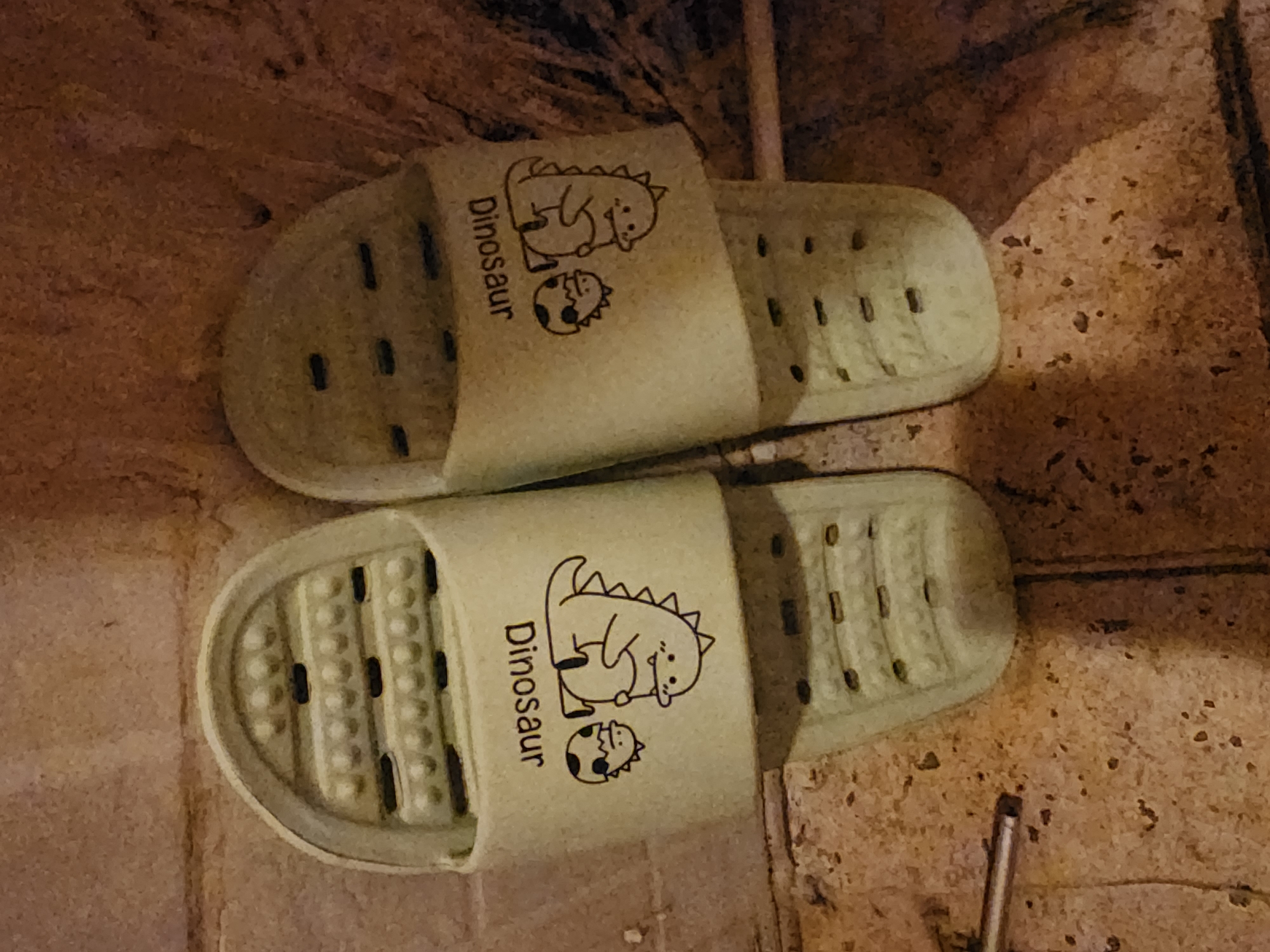 Two light green slides with a dinosaur graphic are resting on a patterned floor in front of a textured, brick-like wall. The slide on the left has the word "Dinosaur" printed in black above the graphic, while the slide on the right has the same word printed upside down above its graphic. The graphics feature two cartoon dinosaurs, one with a spotted head and the other with a spiked back and tail. Both slides have a textured sole with raised bumps and rectangular drainage holes. The floor appears to be made of interlocking tiles with a brown and tan speckled pattern. The wall behind the slides is a rough, reddish-brown surface with visible texture. A thin, metallic cylindrical object is partially visible on the lower left side of the frame. The scene appears to be an indoor setting, possibly a bathroom or entryway.