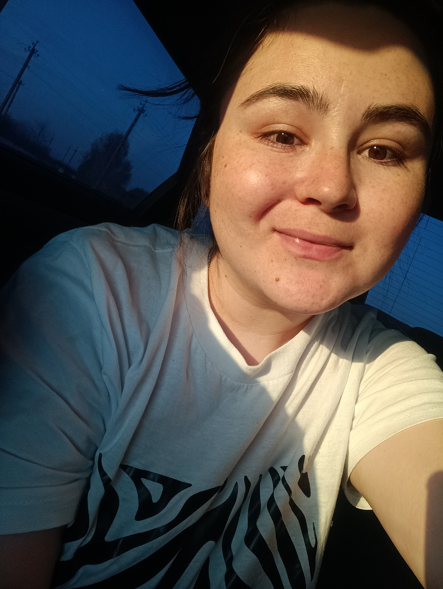 A woman is seated in a vehicle, likely a car, with the vehicle's sunroof open. The background visible through the sunroof appears to be a twilight or dusk scene with utility poles present. She is wearing a light-colored t-shirt with a dark zebra-like pattern. Her skin is fair with freckles visible on her face. She is looking at the camera and smiling slightly. The location in Orda, Russia is not discernible from this image.