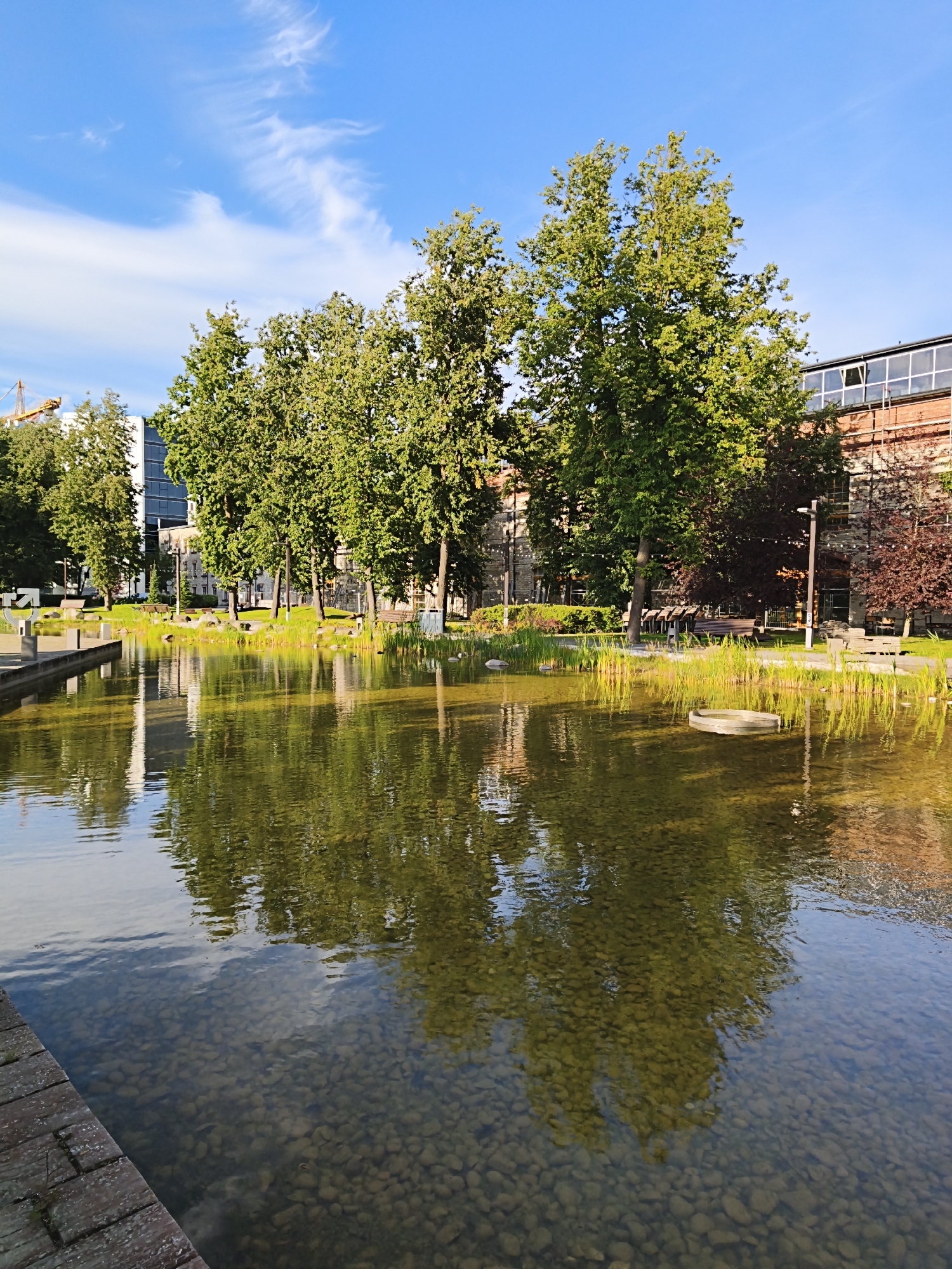 This is a photograph of a modern public space with a water feature in the city of Tallinn, Estonia. The scene depicts a body of water with a clear bottom filled with pebbles, reflecting the surrounding trees and buildings. On the left, a brick walkway leads to the water's edge. In the background, several tall green trees line the area, interspersed with modern buildings made of glass and brick. A construction crane is visible in the far left background. The sky above is a bright blue with wispy white clouds. The overall impression is one of a well-maintained urban park or plaza.