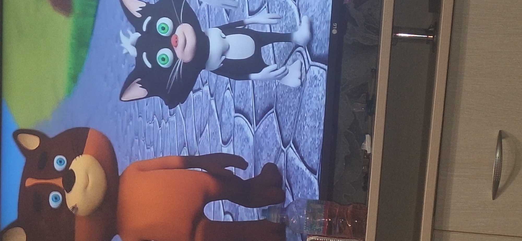 An animated scene features two characters on a stone pathway. On the left is a brown bear-like creature with large blue eyes and a tan muzzle. It is wearing an orange body suit. To the right is a black and white cat with green eyes, a pink nose, and white fur on its chest and paws. The cat is wearing a white collar. The background depicts a green grassy area and a blue sky. The scene is displayed on a television screen, with a bottle of liquid to the left and the LG logo visible on the bottom right of the screen. The television is placed on a shelf unit with drawers. The image does not contain any information about the city of Bila Tserkva, Ukraine.