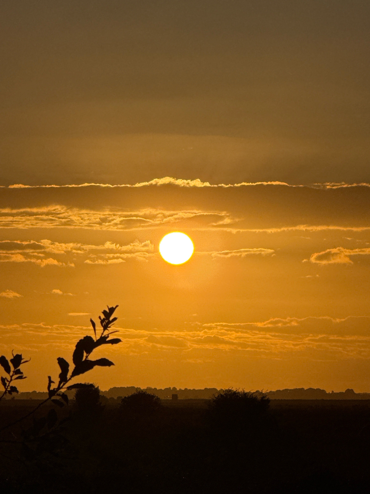 The image depicts a sunset over a rural landscape, likely on the outskirts of Great Yarmouth, United Kingdom. The sun, a bright, glowing orb, is positioned in the upper right quadrant of the frame, casting a warm, golden light across the sky and illuminating the scattered clouds. The clouds are layered, with some appearing thin and wispy, while others are more substantial, catching the sunlight and creating a textured effect.
In the foreground, the silhouette of a plant or small tree is visible on the left side of the image. Its branches and leaves are starkly outlined against the vibrant sky, suggesting it is backlit by the setting sun. The middle ground features a dark, silhouetted horizon line, indicating a low-lying landscape with vegetation or trees. The very far background is indistinct, with subtle hints of structures or a distant treeline, potentially suggesting a rural settlement. The overall impression is one of tranquility and natural beauty as day transitions into evening.