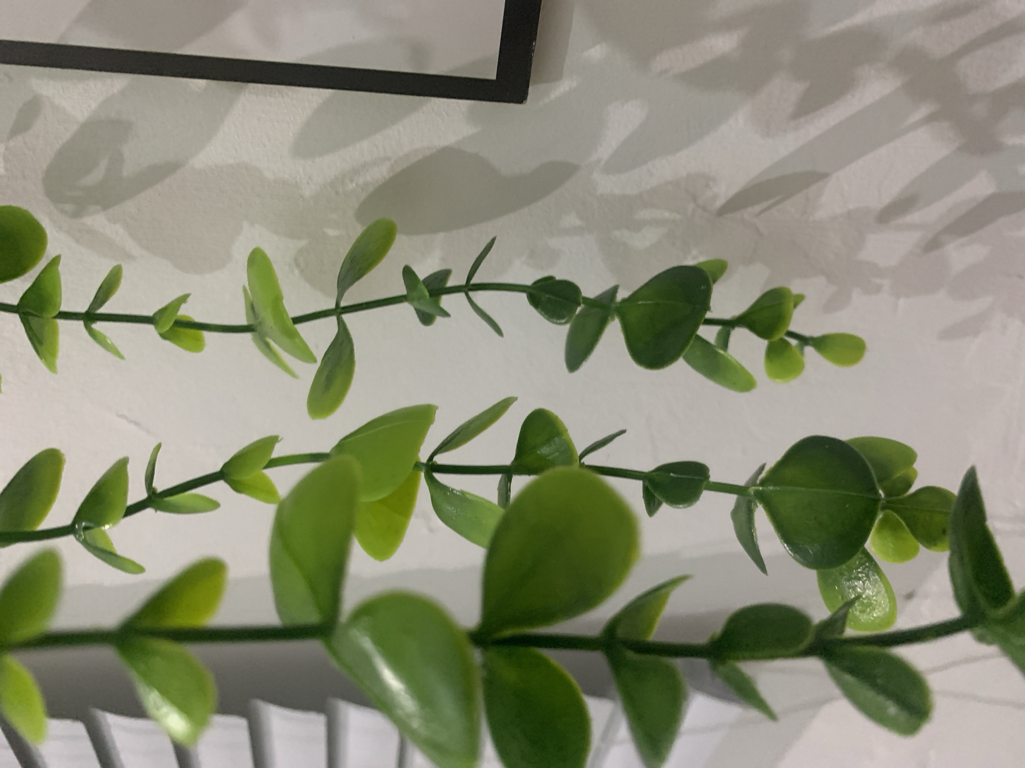 The image shows a close-up of two artificial green plant vines hanging vertically against a textured white wall. The vines have small, oval-shaped leaves. To the left of the vines, partially visible, are the slats of white blinds. To the right, a portion of a black frame is visible, suggesting a picture or mirror on the wall. Shadows of the plant vines are cast on the wall, indicating a light source. The scene is devoid of any people or animals. The location in Dukuh Mojo, Indonesia is not visually represented in the image.