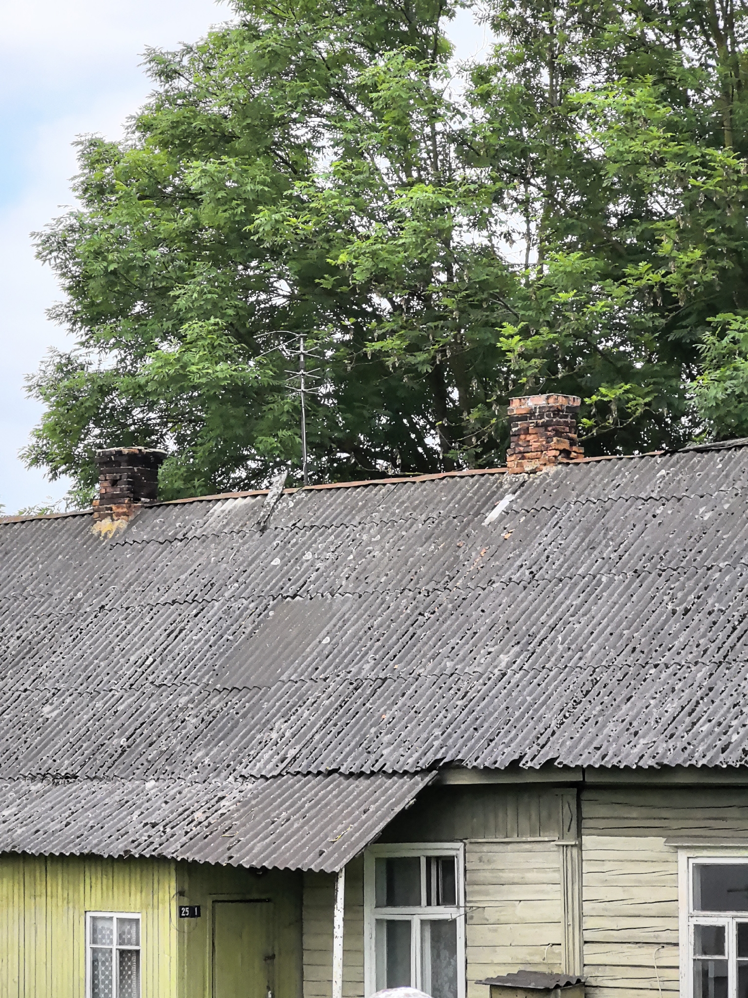 An outdoor, eye-level, close-up shot shows the grey, corrugated asbestos roof of a weathered, light-green, wooden house with white-trimmed windows. Two brick chimneys with a rusted appearance are situated on the roof. Behind the house, a dense canopy of lush green trees fills the upper portion of the frame, with a small section of the sky visible at the top left. The house is partially visible, with a door and a window visible on the left side, and another window on the right. A metal antenna is also visible atop the roof, extending upwards through the trees. The scene appears to be a rural or suburban setting, with no people or animals present.