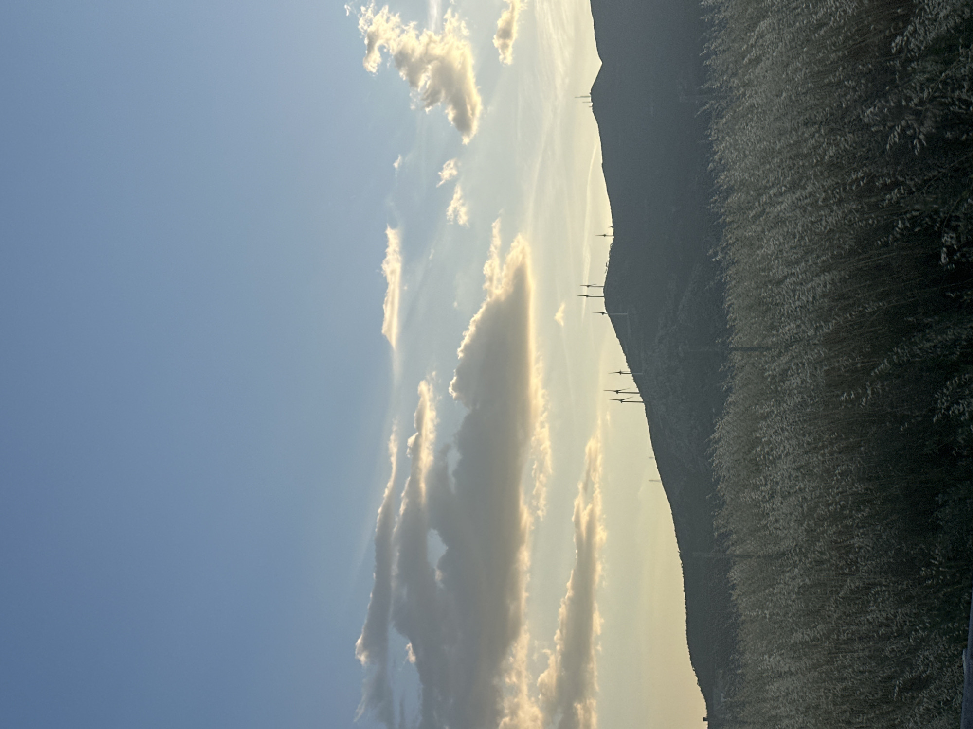 The image shows a landscape with a mountain range and a cloudy sky. The mountain is covered in dense vegetation. Silhouetted wind turbines are visible along the mountain ridge. The sky is blue with white clouds. The picture was taken in Manisa, Turkey.