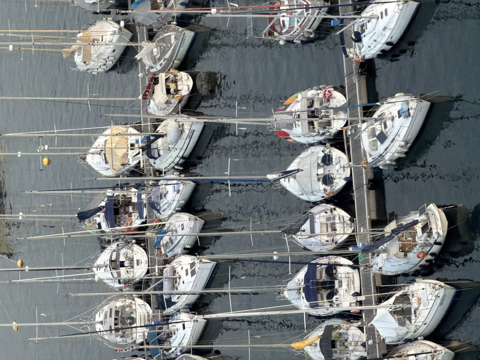 This is a high-angle, full-shot, eye-level photograph of a marina filled with numerous sailboats. The boats are docked side-by-side, with their masts forming a dense forest of rigging. The water is dark and choppy, reflecting the undersides of the boats and the sky. The boats are of various sizes and designs, mostly white, with some sporting blue awnings or sails. The scene appears to be in Santa Maria Navarrese, Italy, judging by the presence of the marina and the architectural style of the nearby buildings, which are not fully visible in this frame. There are no people clearly visible in the image, and the boats appear to be stationary, docked in the marina. The lighting suggests it is daytime, possibly late afternoon or early morning due to the soft shadows. The overall impression is one of a peaceful harbor with many sailboats ready for sea.