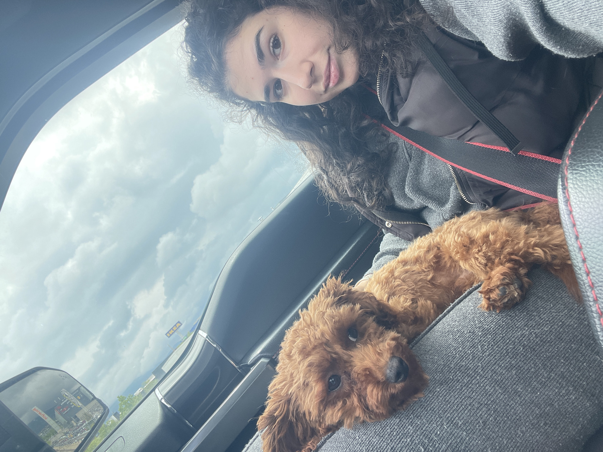 A young woman with curly hair is in a car with a brown poodle resting on her lap. The woman is wearing a gray sweater and a black vest. The dog is lying down and looking towards the camera. The car's interior is dark gray with red stitching on the seats. Through the car's window and side mirror, buildings and signs are visible, with one large sign displaying the IKEA logo, suggesting this is likely near the IKEA store on Sofia, Bulgaria's outskirts. The sky is cloudy.