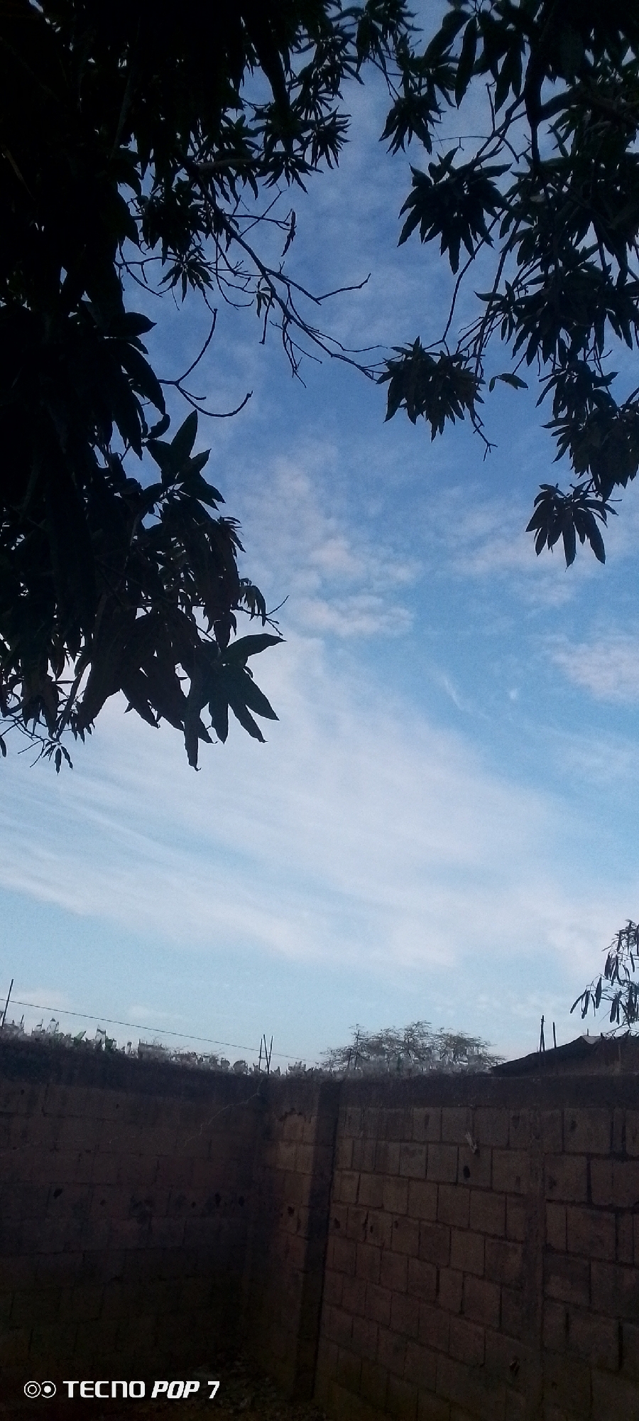 The image shows a brick wall, likely a perimeter wall, in the foreground. Above the wall, there is vegetation visible in the distance, potentially trees and shrubs. The sky is blue with some scattered clouds. Dark silhouettes of tree branches and leaves are visible in the upper part of the frame. The name "TECNO POP 7" is printed in the lower left corner. The image has a low-angle perspective, looking upwards. There is no evidence or information that places the image in Altagracia, Venezuela.