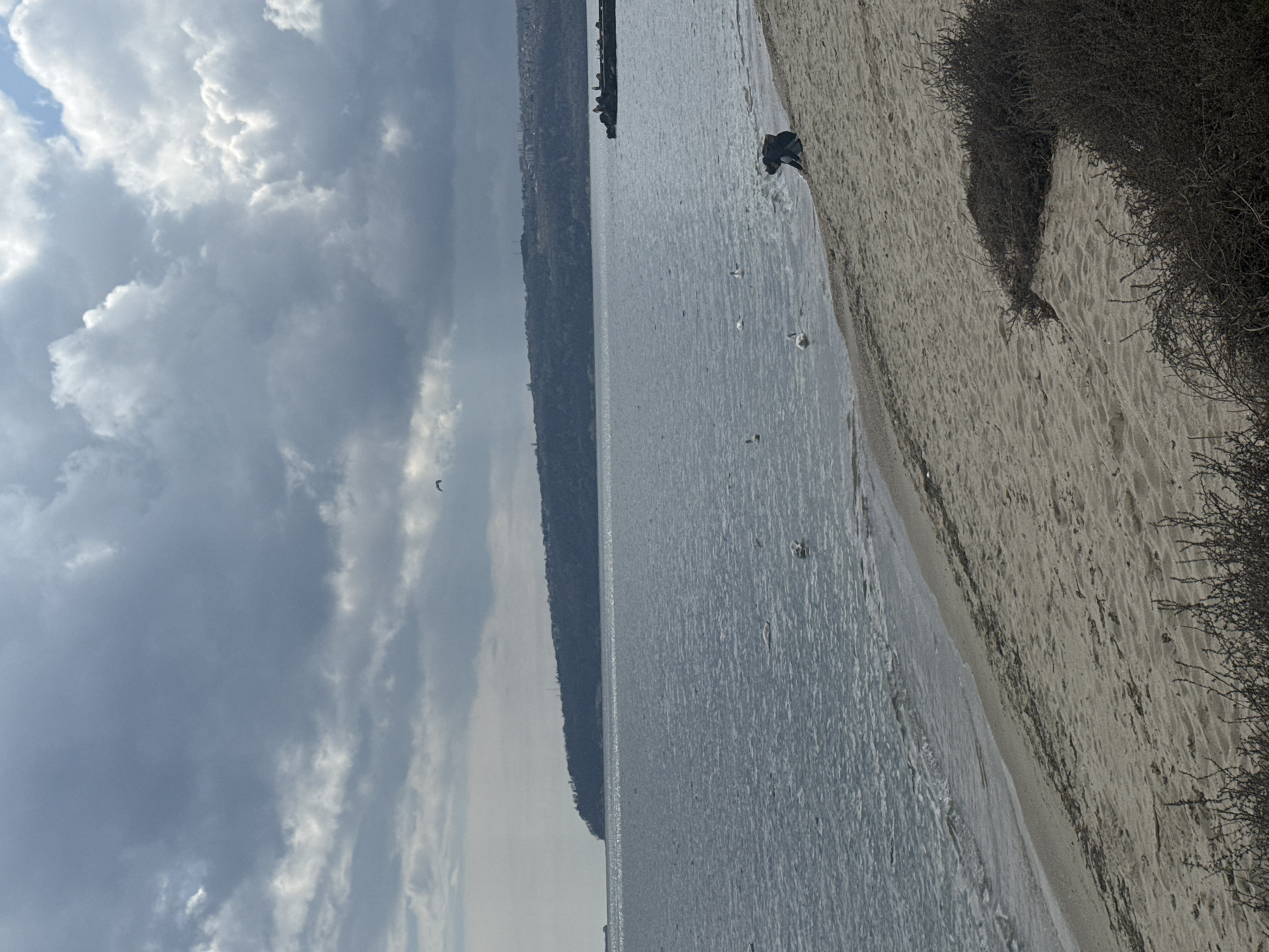 The photograph captures a seascape on a cloudy day, likely taken at the beach in Varna, Bulgaria. A narrow strip of beach with sand and scrubby vegetation occupies the right side of the frame. To the left of the beach is the water. Several white seagulls are standing in the water. In the background, across the water, there's a coastline with vegetation. Over the water and coastline, there is a large area of clouds. The clouds are dark grey to white in color. The weather conditions appear overcast.