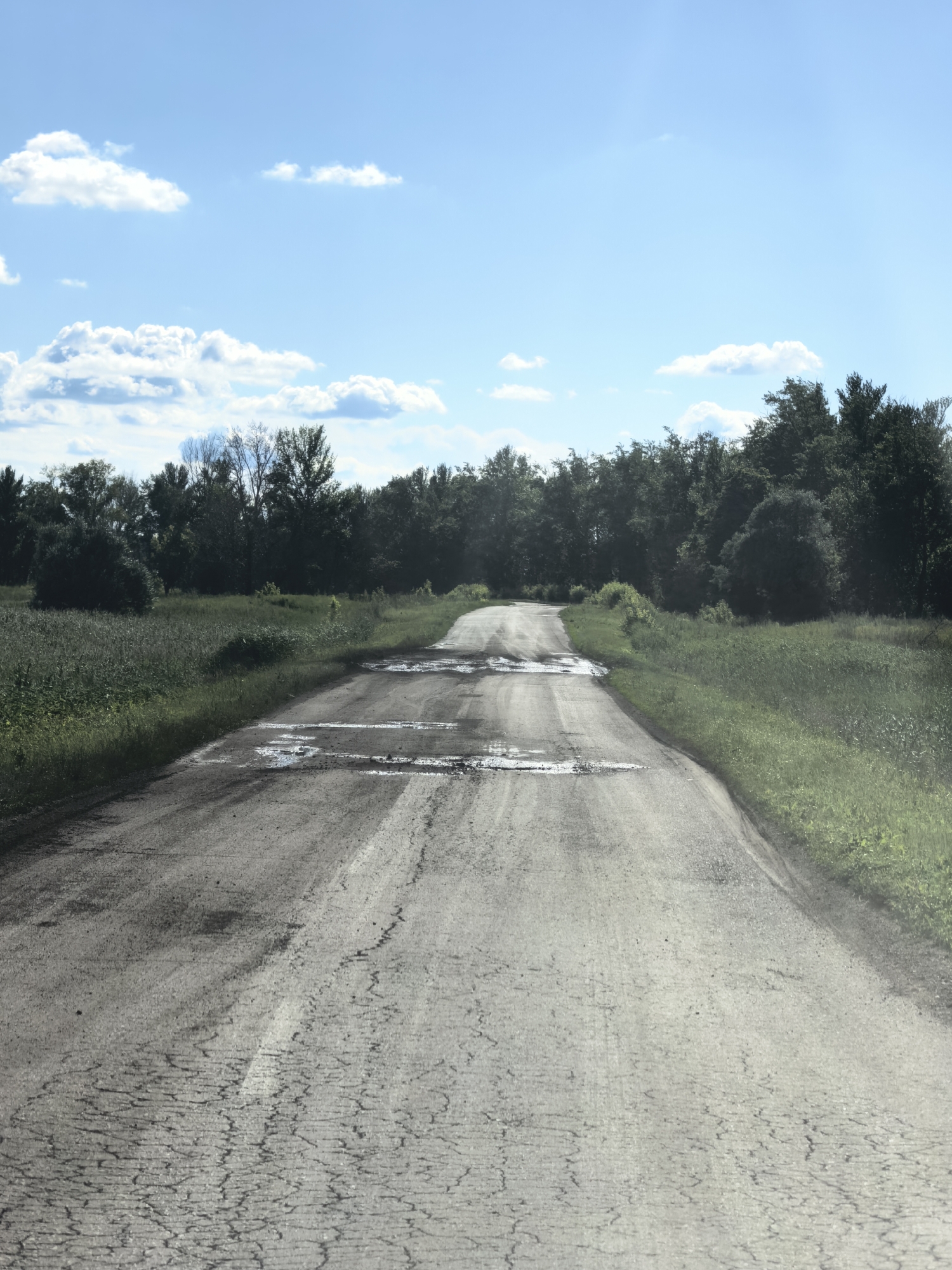 This media file depicts an outdoor scene of a rural dirt road in Vozrozhdeniye, Russia. The road is cracked and weathered, with several puddles of water collected on its surface. It appears to be a sunny day, as indicated by the bright blue sky with scattered white clouds.
The road is bordered on both sides by lush green grass and trees, suggesting a natural, uncultivated environment. A dense line of trees forms the backdrop, with some appearing to be deciduous and others coniferous. The lighting suggests it is daytime, likely late morning or early afternoon, given the brightness and the angle of the shadows, though the shadows are not clearly defined enough to determine precise time.
There are no people or man-made structures visible in the image, besides the road itself. The overall mood is one of tranquility and solitude, characteristic of a remote rural landscape. The condition of the road, with its cracks and puddles, might suggest that it is not heavily trafficked or that it has recently rained. The presence of water on the road could also be due to melting snow, though the green vegetation implies it is not winter. There is no visible text in the image.