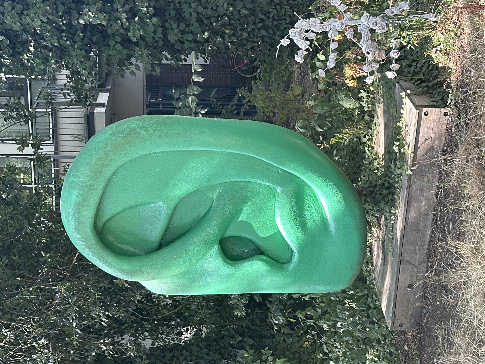 The image shows a large, bright green sculpture of a human ear positioned outdoors. The sculpture is elevated on a wooden platform. Behind the sculpture, there is dense green foliage, including ivy climbing on a brick building. A balcony with a railing is visible on the building, as is a bicycle with red wheels leaning against the wall. A white, sculptural plant with rose-like blooms is present to the right of the ear sculpture. The ground in front of the wooden platform is covered with dry grass and dirt. This sculpture is located on the Westerdoksdijk in Amsterdam, Netherlands.