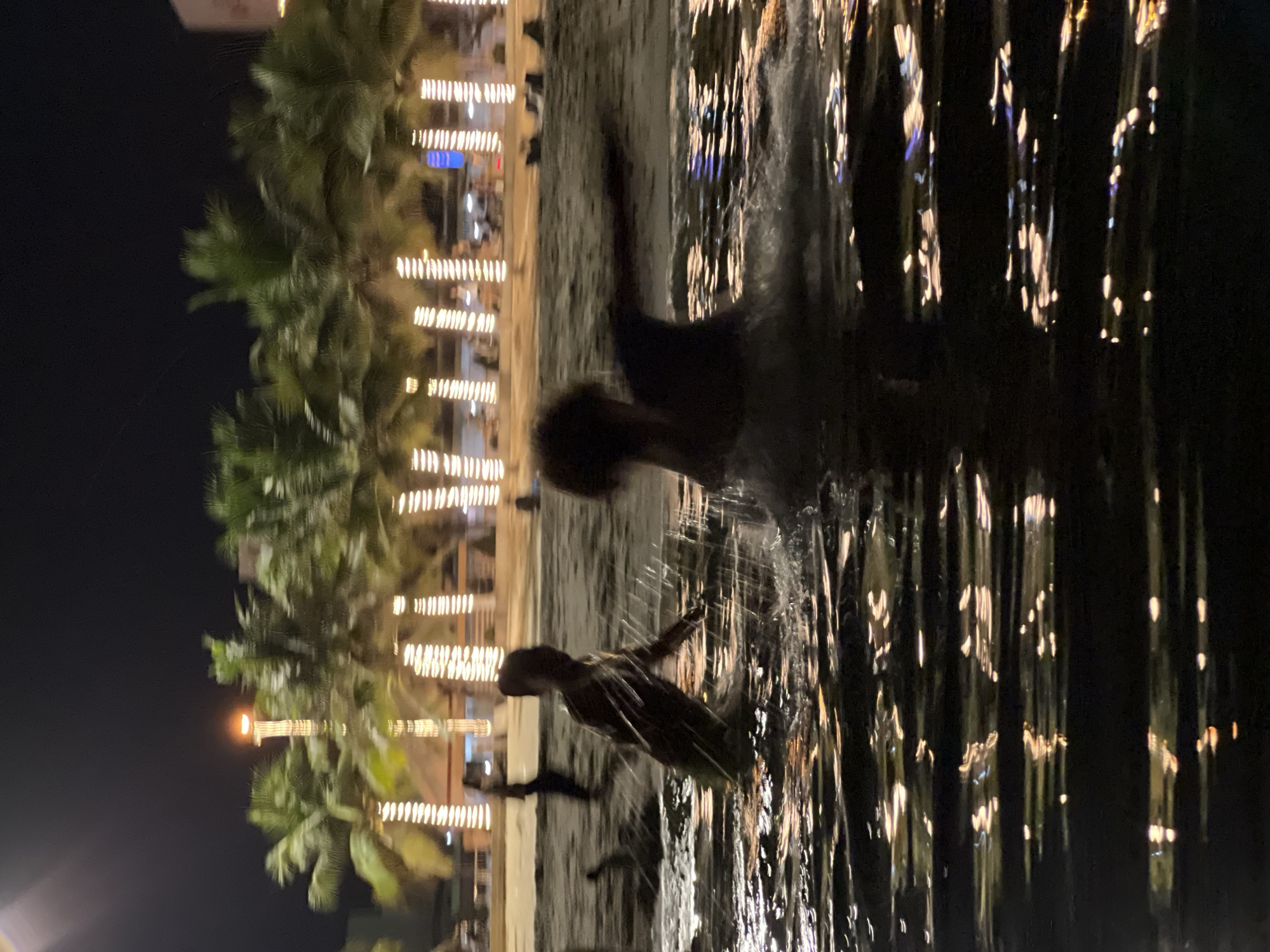 The image depicts a nighttime scene at a beach, likely in Nha Trang, Vietnam. In the foreground, two individuals are engaged in water activities, with one person splashing water and the other in motion. The water is dark and reflective, illuminated by scattered lights from the background. Behind the water, a sandy beach is visible, lined with palm trees decorated with numerous string lights. In the distance, there are indications of buildings and a promenade, also lit up. The overall atmosphere suggests a lively evening at a coastal resort area.