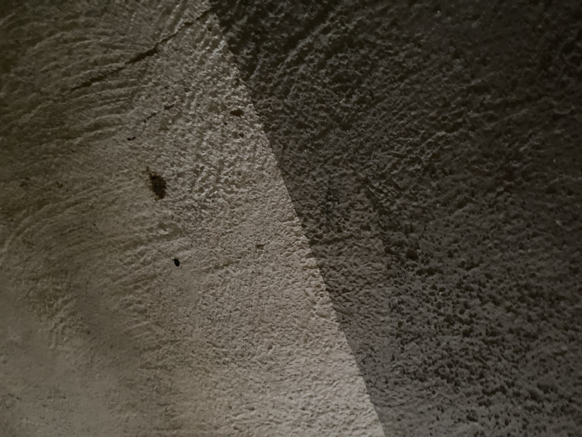 A close-up, overhead shot of a textured, pale surface with a distinct diagonal shadow across it. The surface appears to be concrete or a similar rough material. Two small, dark, insect-like specks are visible on the surface. One is located in the upper half, towards the left, and the other is slightly to the right of center. The lighting suggests an outdoor environment, potentially a street or walkway, in Jauro Yinu, Nigeria. The image focuses on the texture and the play of light and shadow on the ground. There are no people or overt actions depicted.