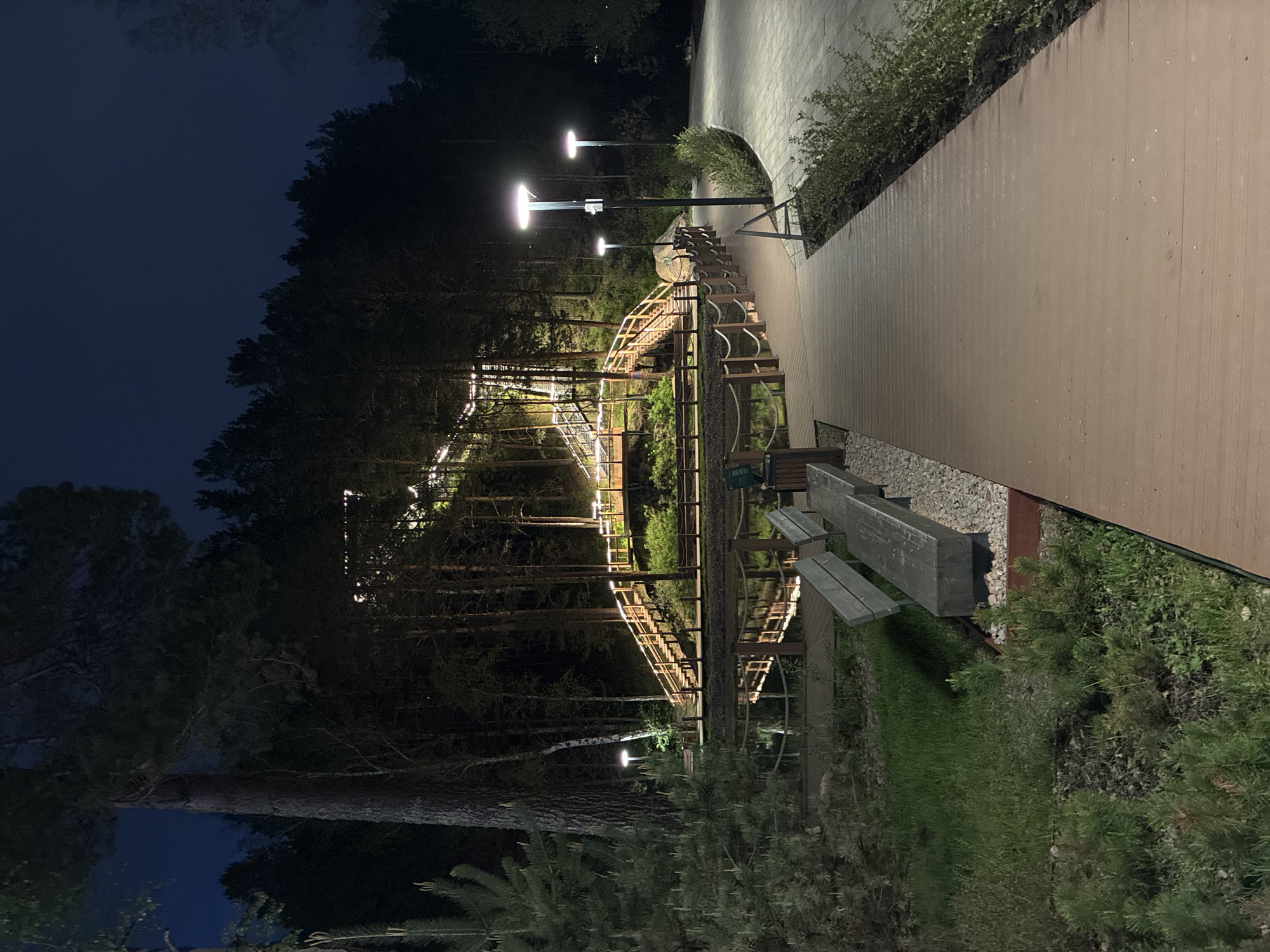 A nighttime scene depicts a wooden walkway winding through a forested area. The walkway is illuminated by a series of evenly spaced, modern lampposts emitting a bright, cool-toned light. The walkway itself is constructed of planks of wood, and it appears to be elevated in some areas, suggesting the presence of stairs or ramps along its path. The surrounding forest is dense and dark, with tall trees surrounding the walkway. A bench is to the right of the wooden walkway.