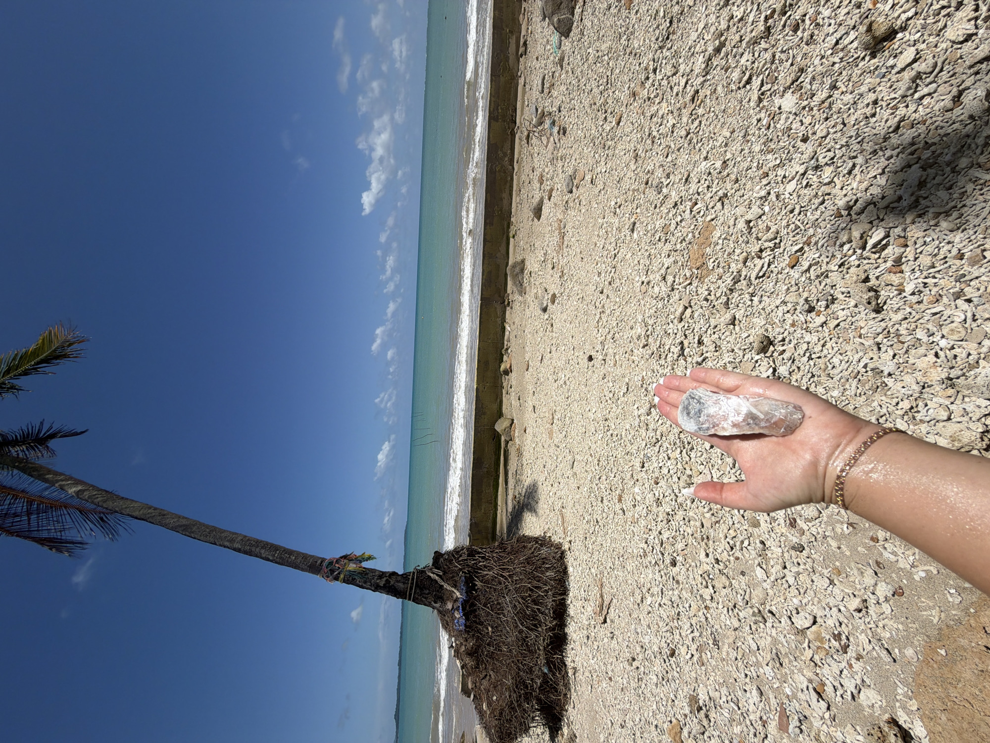 A hand holds a translucent, light-colored mineral chunk on a beach in Bang Muang, Thailand. The beach is covered in white coral fragments and pebbles. In the background, a palm tree leans to the left, its roots exposed and tangled. The ocean, a bright turquoise, meets the shore with gentle waves. A concrete seawall runs along the beach, partially submerged by sand and debris. The sky is a clear, vibrant blue with a few scattered white clouds. The image is a medium shot, captured from a low angle, emphasizing the texture of the beach and the detail of the mineral in the hand.