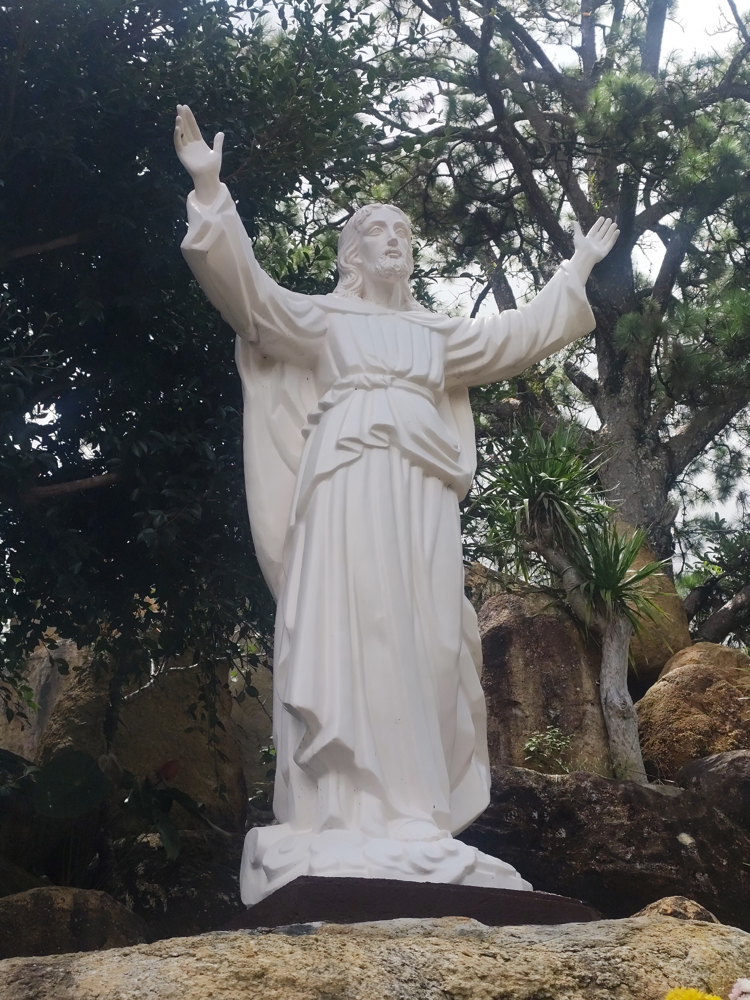 A full-body, low-angle shot depicts a white statue of Jesus Christ with his arms outstretched and raised, standing on a rocky incline. The statue is made of smooth, white material, likely plaster or concrete, and is draped in a robe that flows around him. Jesus has a beard and long hair, and his facial expression is serene.
The statue is positioned outdoors, with a backdrop of lush greenery and large rocks. To the left, dense, dark green foliage creates a shaded area. To the right and behind the statue, a large, gnarled tree with sparse branches and pine needles dominates the scene, its trunk weathered and textured. Smaller, spiky green plants grow amongst the rocks near the tree. The ground beneath the statue appears to be made of rough, light-colored stones. The overall setting suggests a natural, possibly sacred or memorial site.
This statue is located at the **Dominican Sisters of Saint Catherine of Siena convent in Da Lat, Vietnam**. It is situated within the convent's grounds, which are known for their natural beauty and religious significance. The convent itself is a prominent religious site in Da Lat.